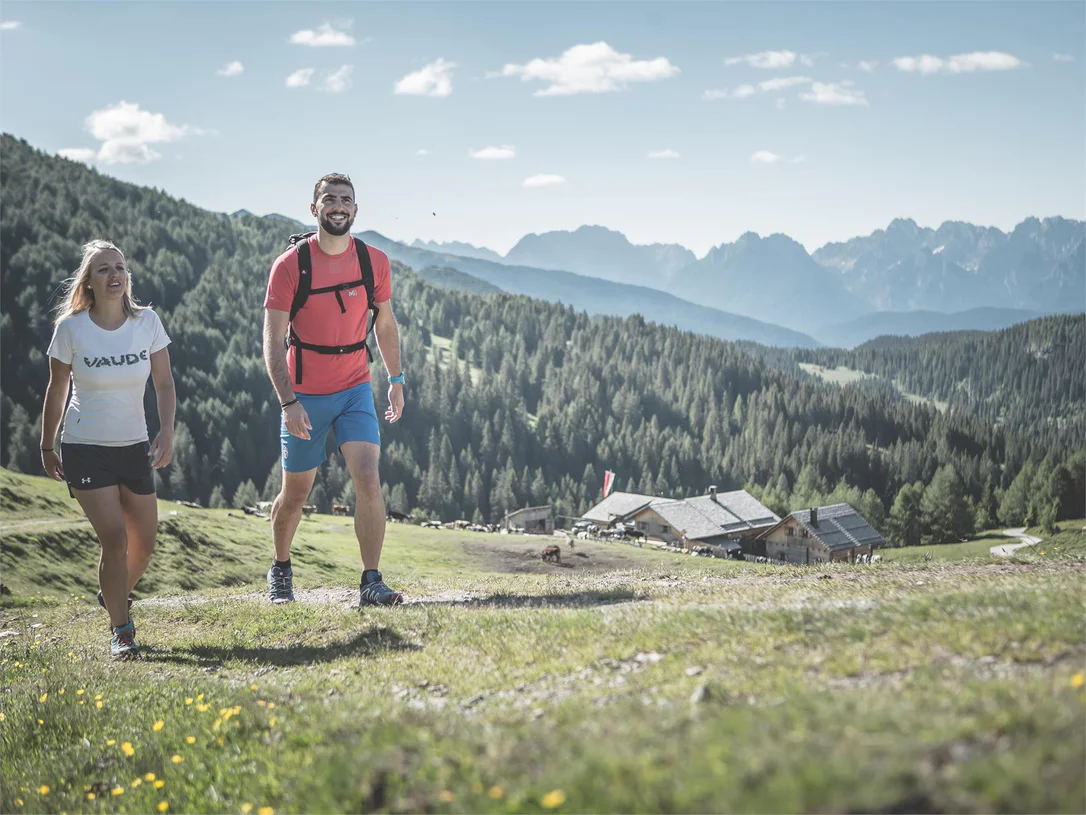 Hike: To the alpine pastures