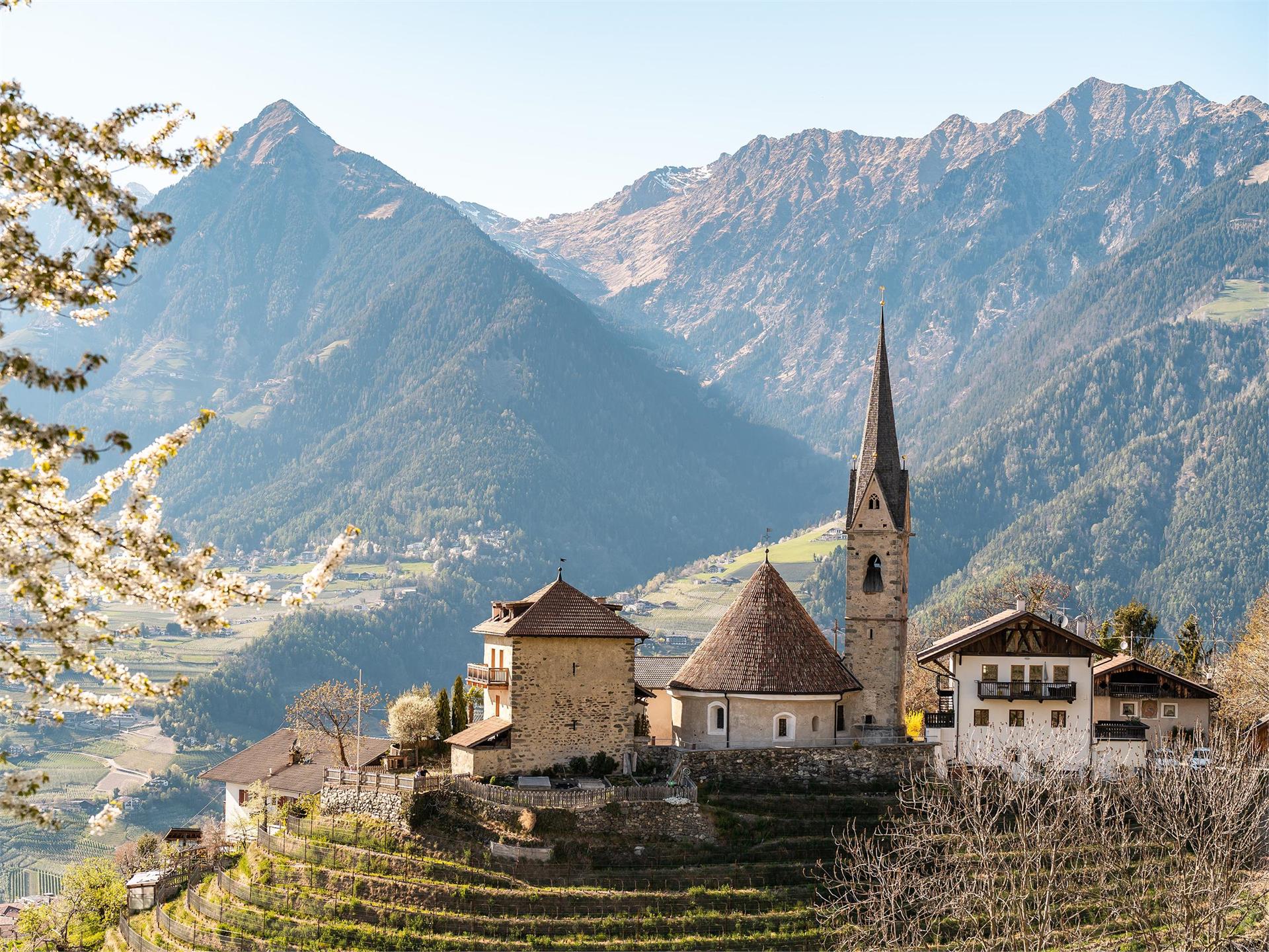 Hike along the Schenner Waalweg Trail Schenna/Scena 4 suedtirol.info