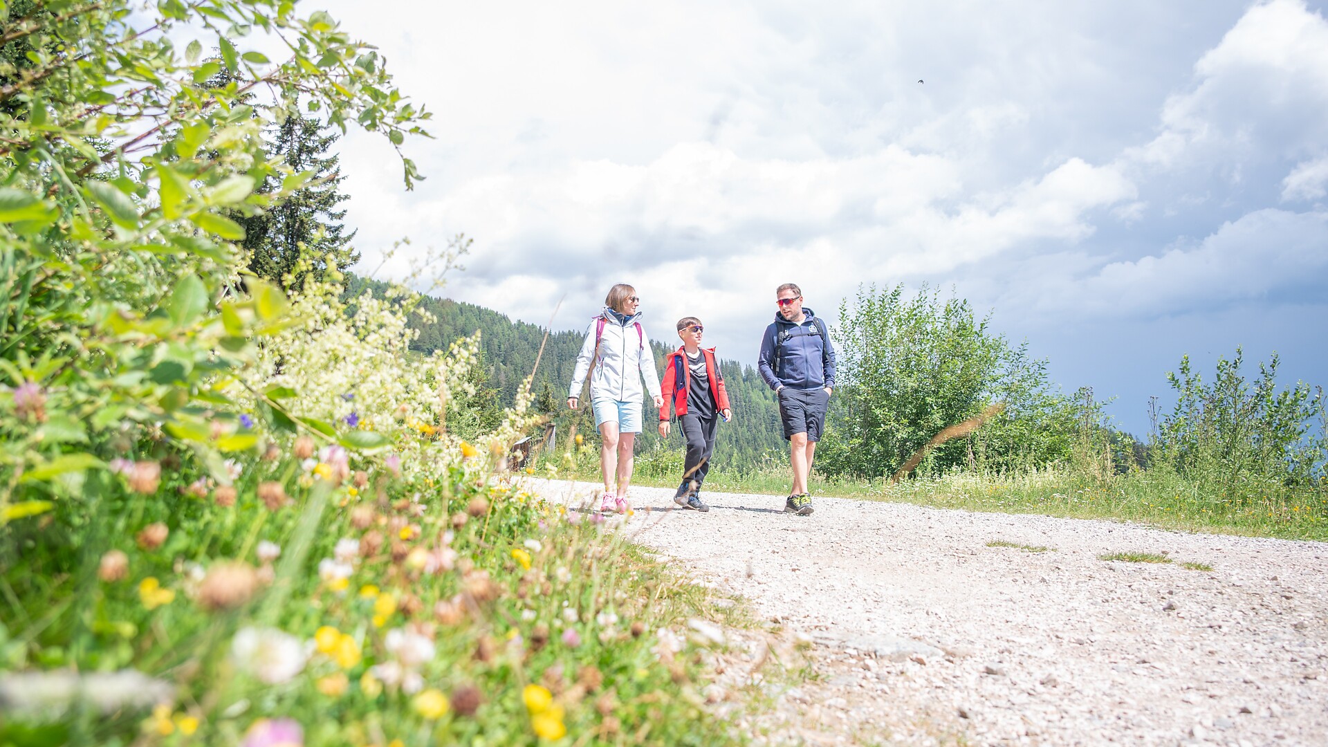 Wanderung Irenberg - Dolomitenregion Kronplatz - #1 - suedtirol.info