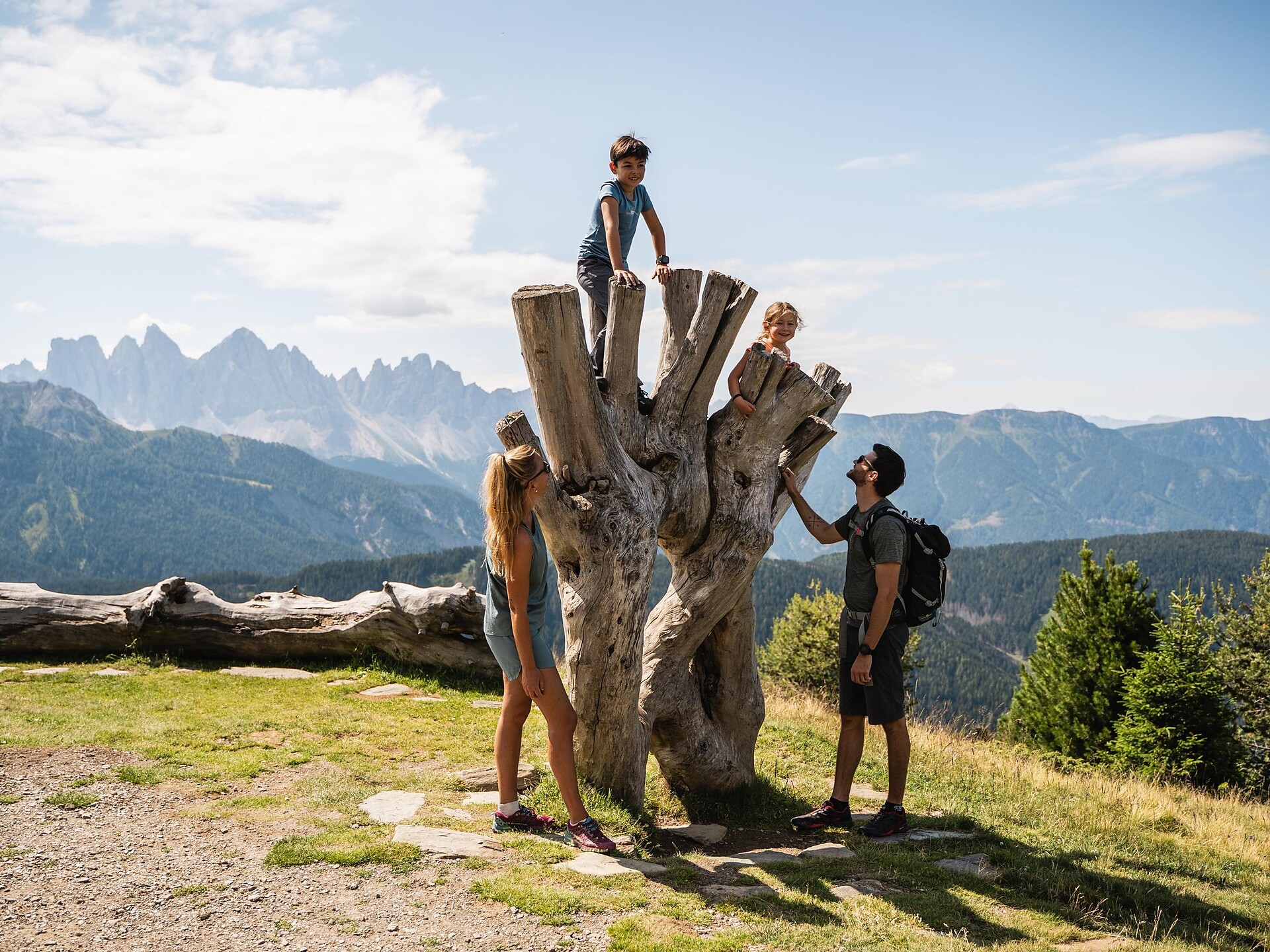 WoodyWalk sulla Plose	 - Bressanone e dintorni - #5 - suedtirol.info