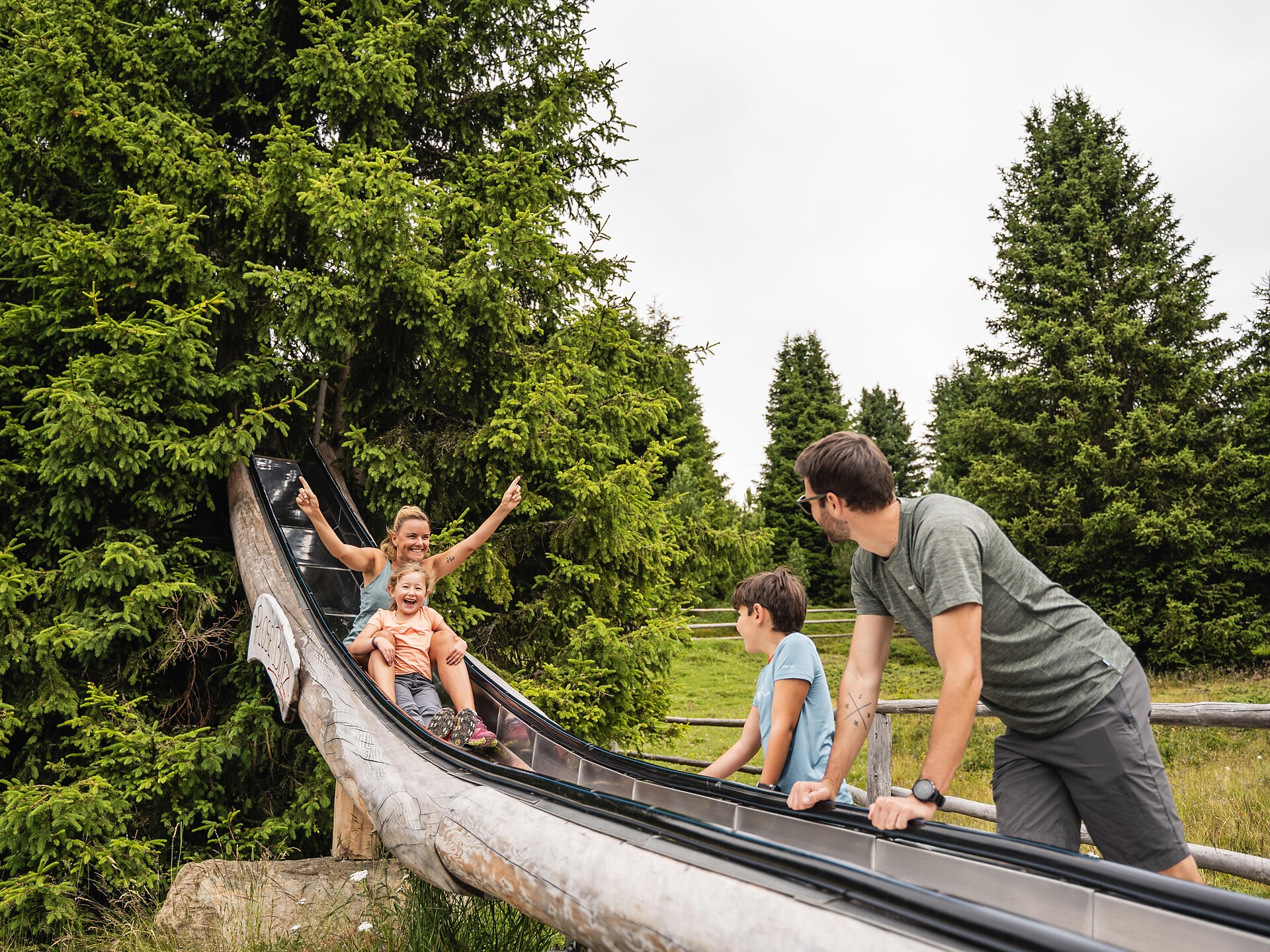 WoodyWalk sulla Plose	 - Bressanone e dintorni - #3 - suedtirol.info