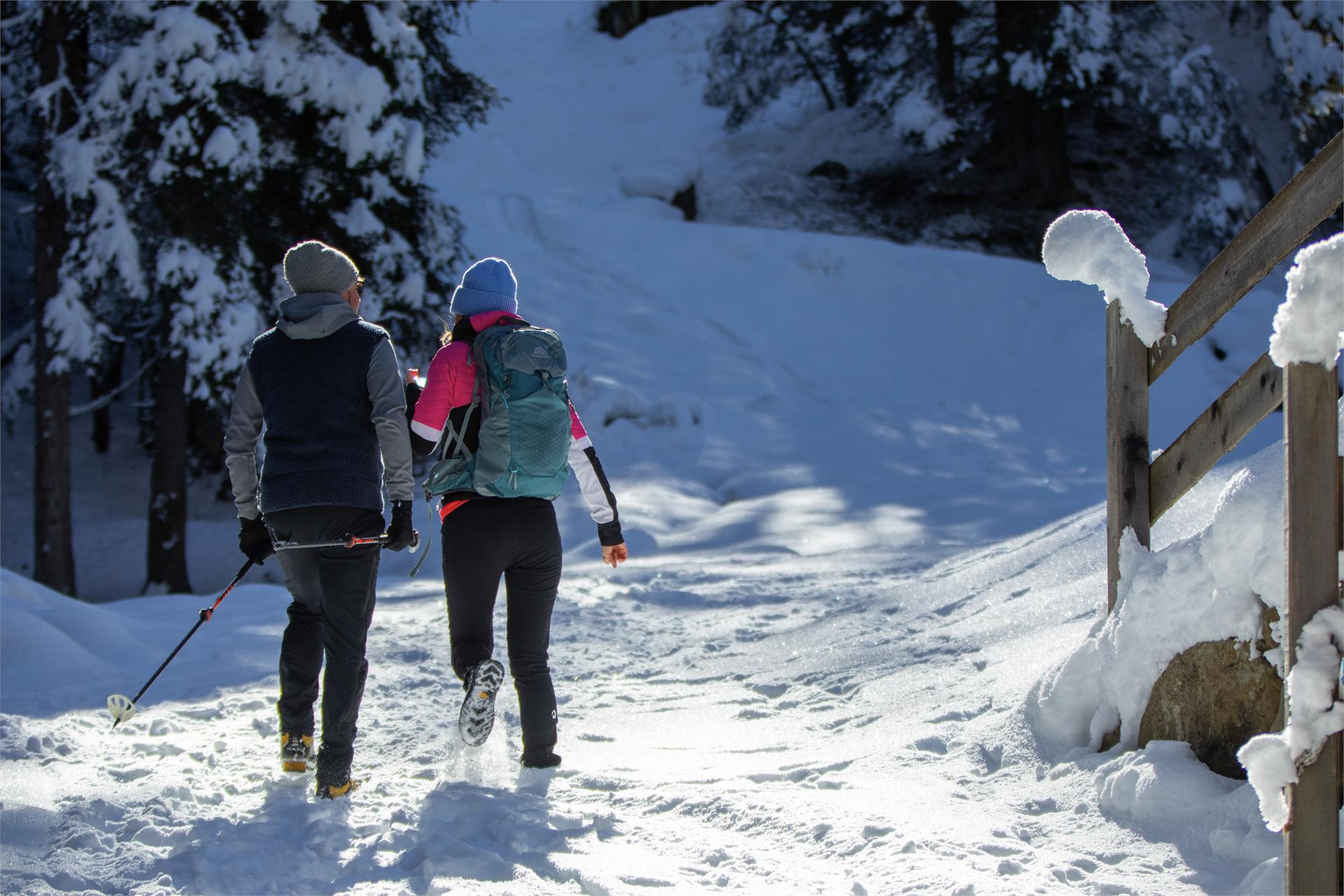 Winter Hike to the Ulfaseralm alp St.Martin in Passeier/San Martino in Passiria 1 suedtirol.info