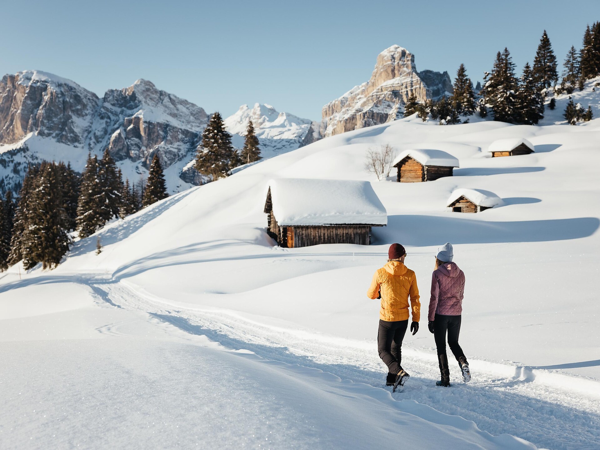 Escursione invernale nei prati di Armentarola/Saré - Regione dolomitica Alta Badia - #1 - suedtirol.info