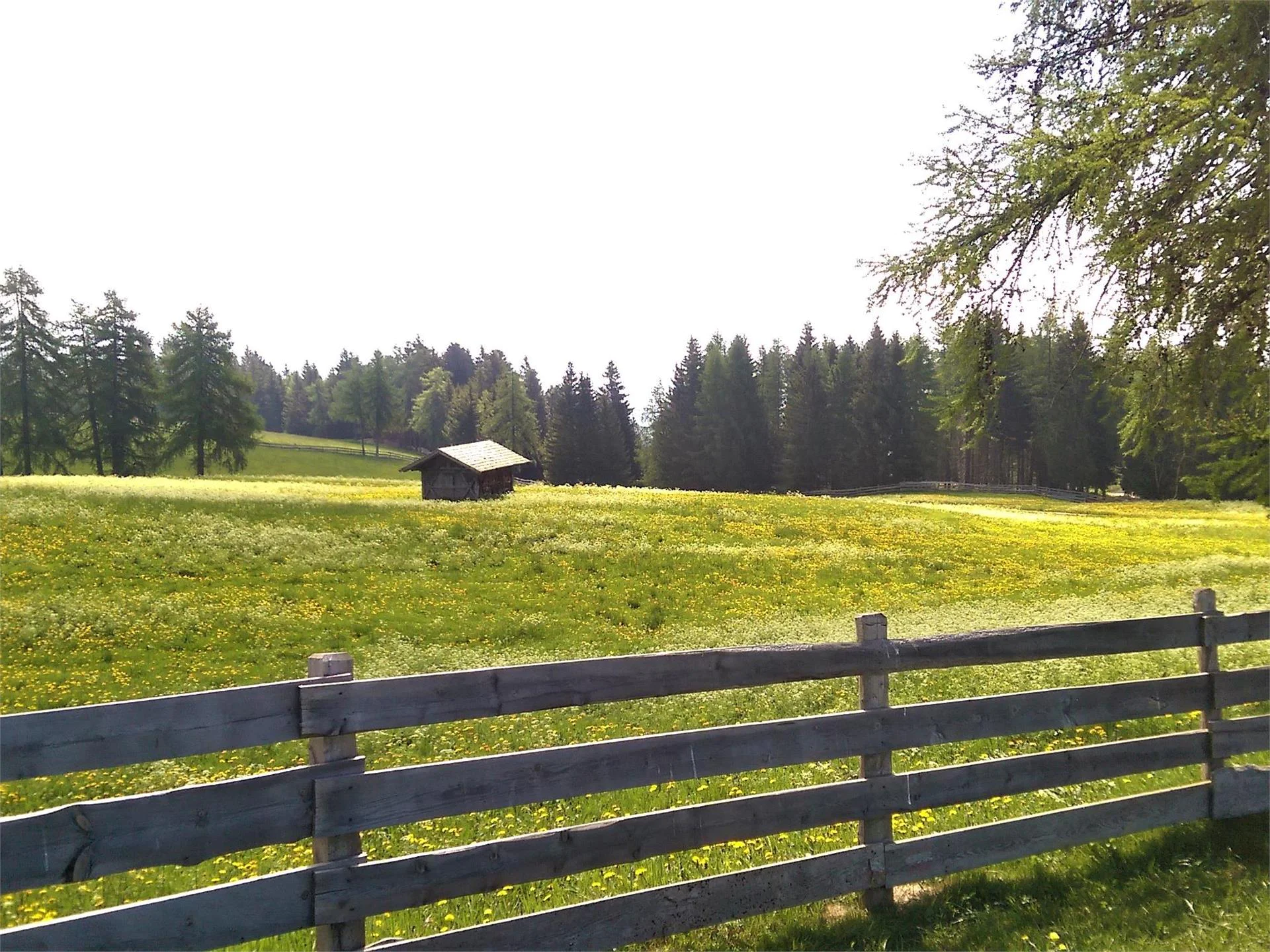 Escursione da Meltina agli “ometti di pietra” Meltina 1 suedtirol.info