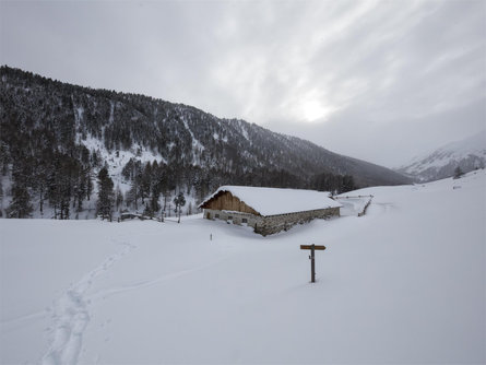 Brugger Alm Alpine Pasture – Zerzertal valley in winter Mals/Malles 2 suedtirol.info