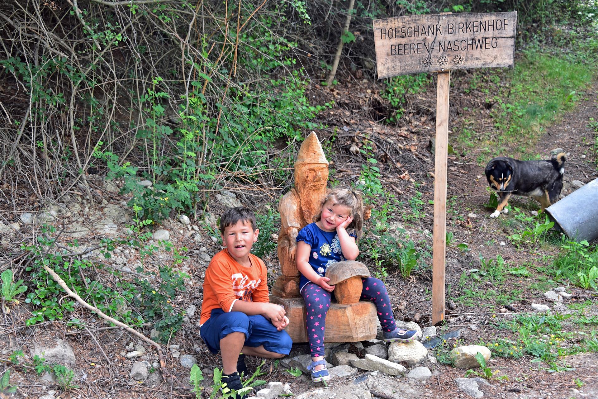 Beerennaschweg trail Schluderns/Sluderno 1 suedtirol.info