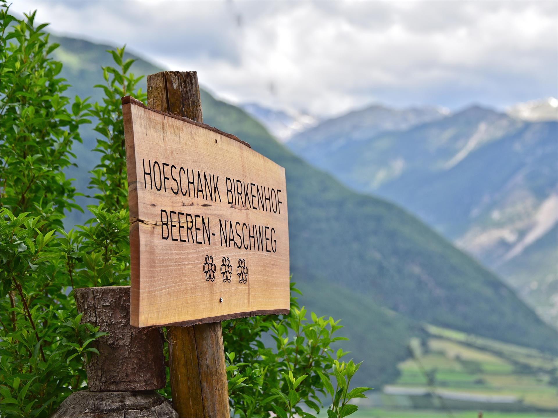 Beerennaschweg trail Schluderns/Sluderno 2 suedtirol.info