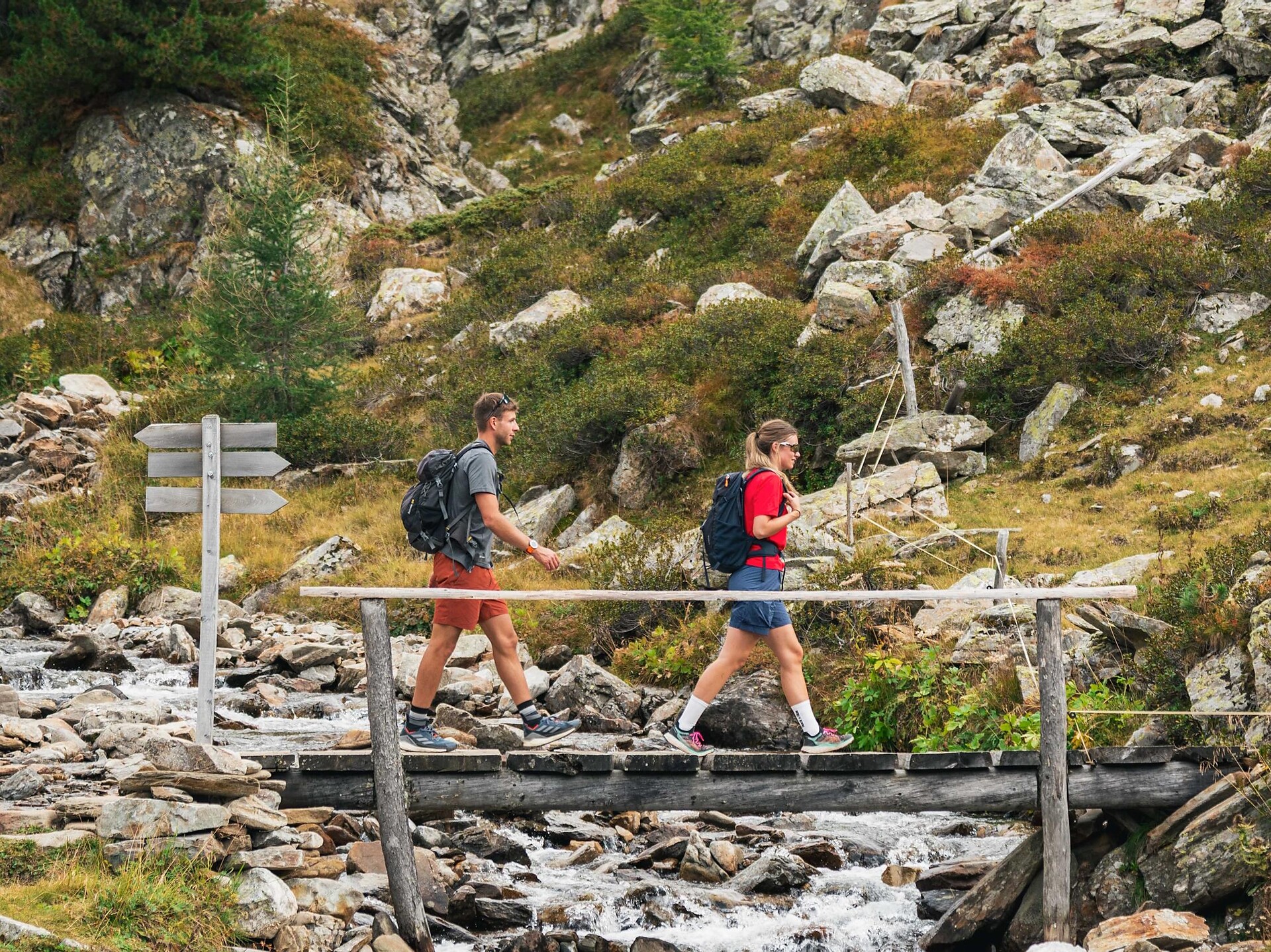 Escursione circolare panoramica attraverso la Malga Steinzger e il Vogelgrand fino al Passo Stalle - Regione dolomitica Plan de Corones - #8 - suedtirol.info