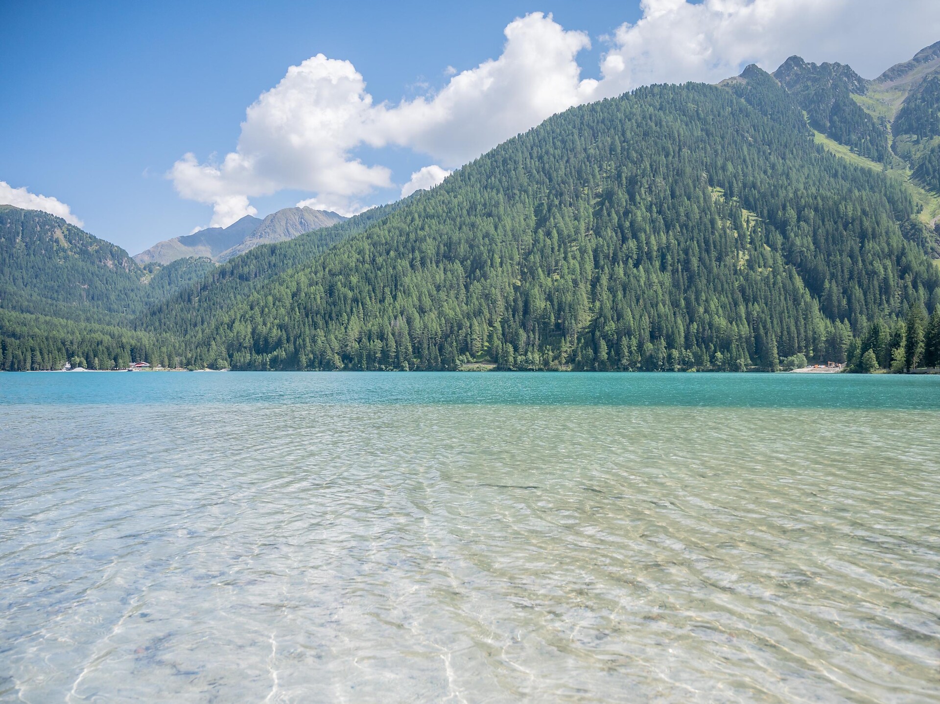 Escursione circolare panoramica attraverso la Malga Steinzger e il Vogelgrand fino al Passo Stalle - Regione dolomitica Plan de Corones - #2 - suedtirol.info