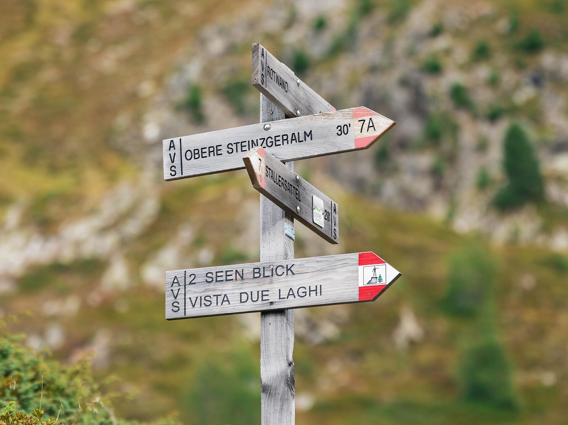 Escursione circolare panoramica attraverso la Malga Steinzger e il Vogelgrand fino al Passo Stalle - Regione dolomitica Plan de Corones - #9 - suedtirol.info