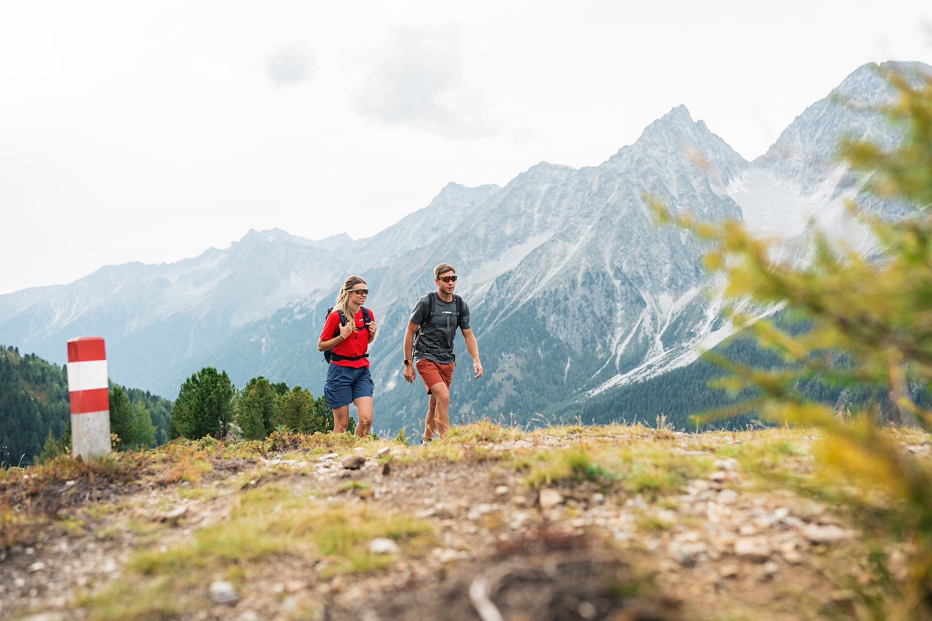 Escursione circolare panoramica attraverso la Malga Steinzger e il Vogelgrand fino al Passo Stalle - Regione dolomitica Plan de Corones - #6 - suedtirol.info