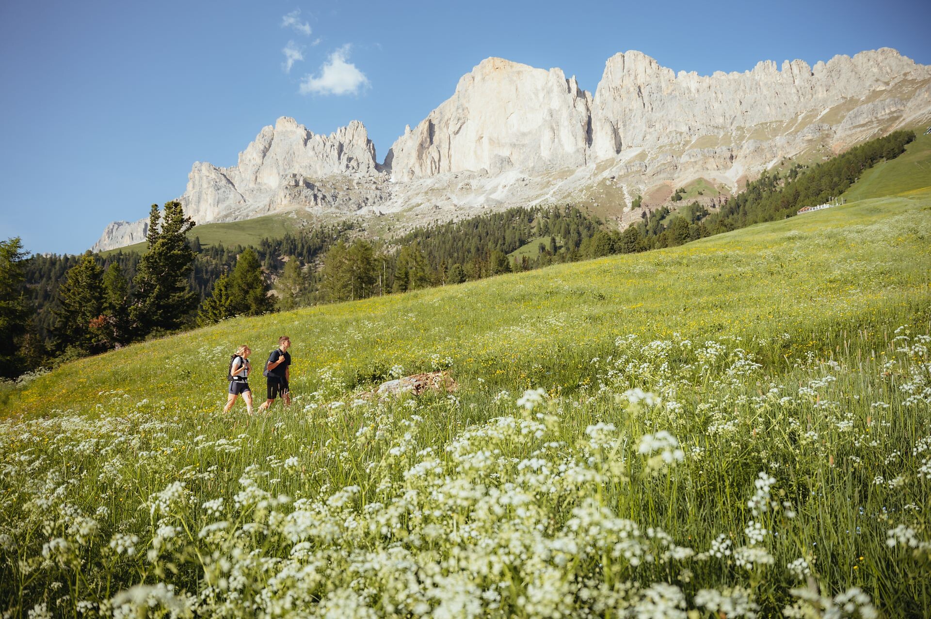 Rosengarten