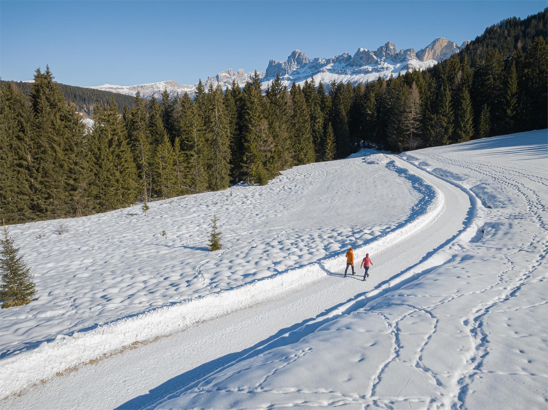 Winterwanderung vom Karer See zum Almgasthaus Häusler Sam Welschnofen 2 suedtirol.info