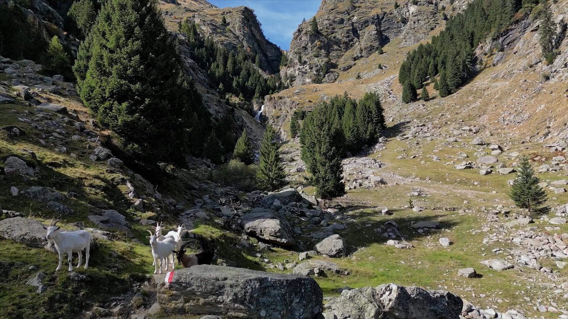 Valle Zieltal