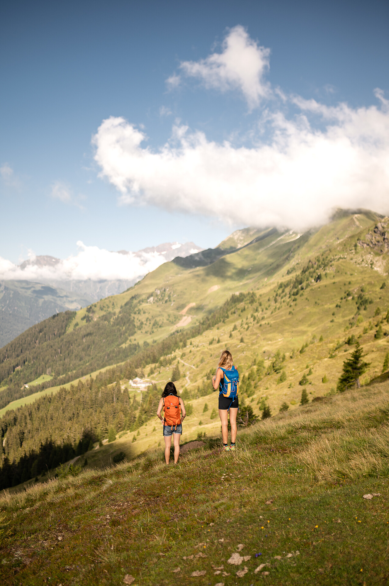 Telfer Weissen peak trail - Sterzing/Vipiteno and environs - #1 - suedtirol.info