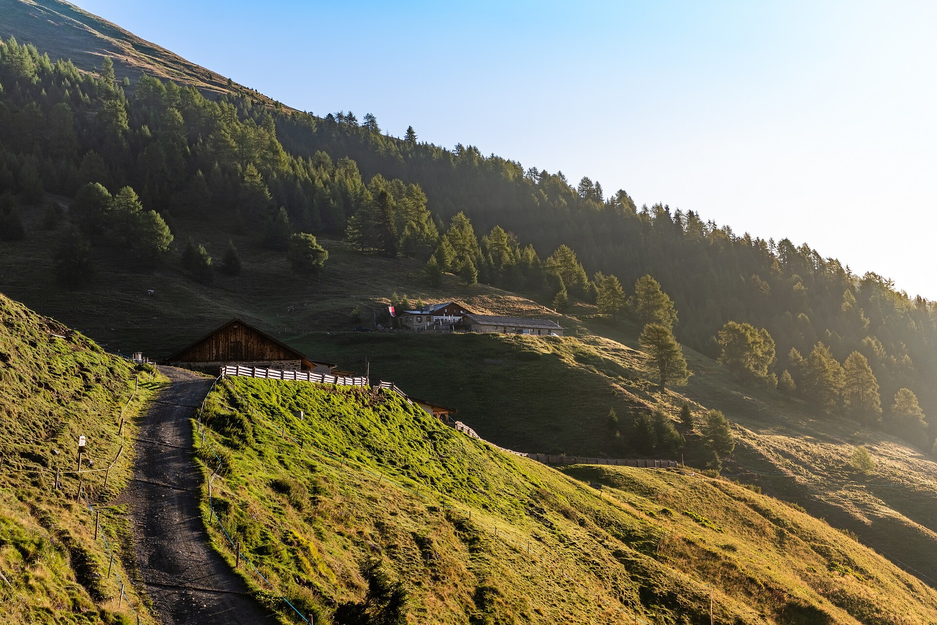 Alla Malga Stelvio di Sopra - Val Venosta - #1 - suedtirol.info