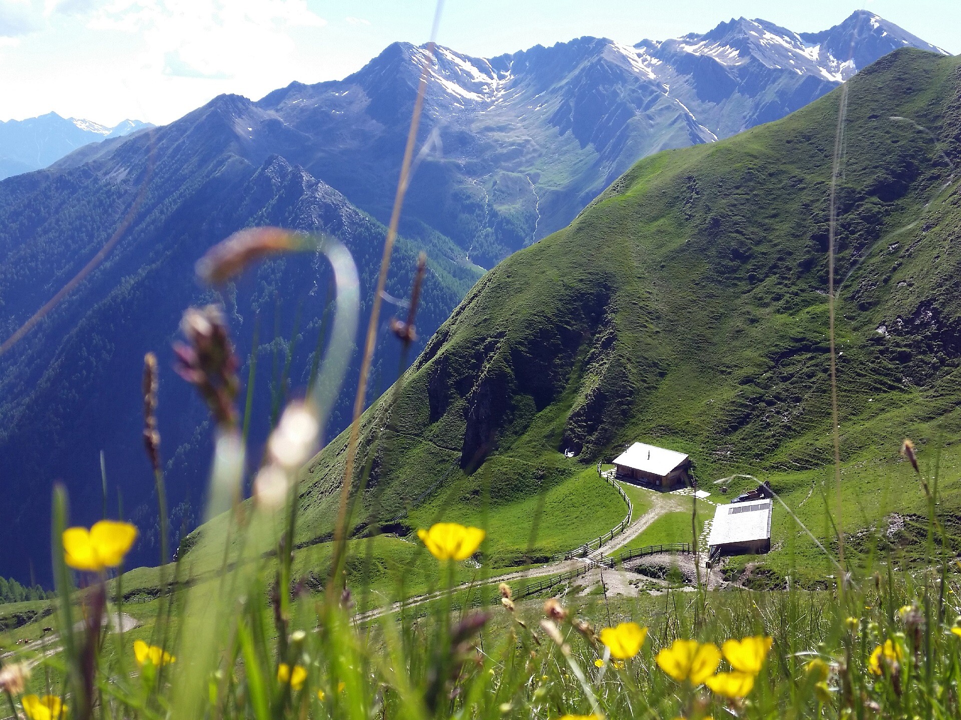 Tschiffernaun Alm
