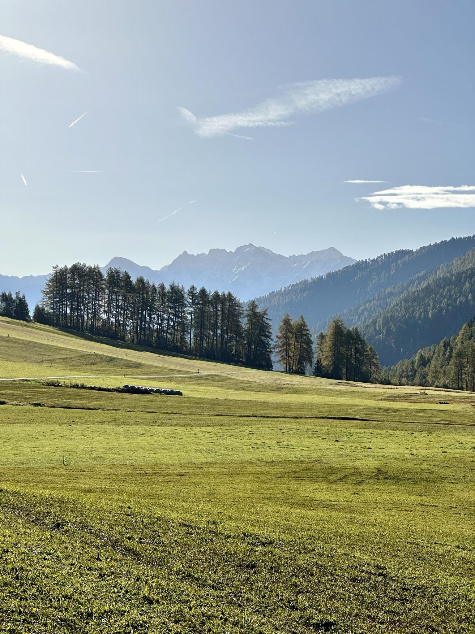 Alla malga di Slingia Malles 5 suedtirol.info