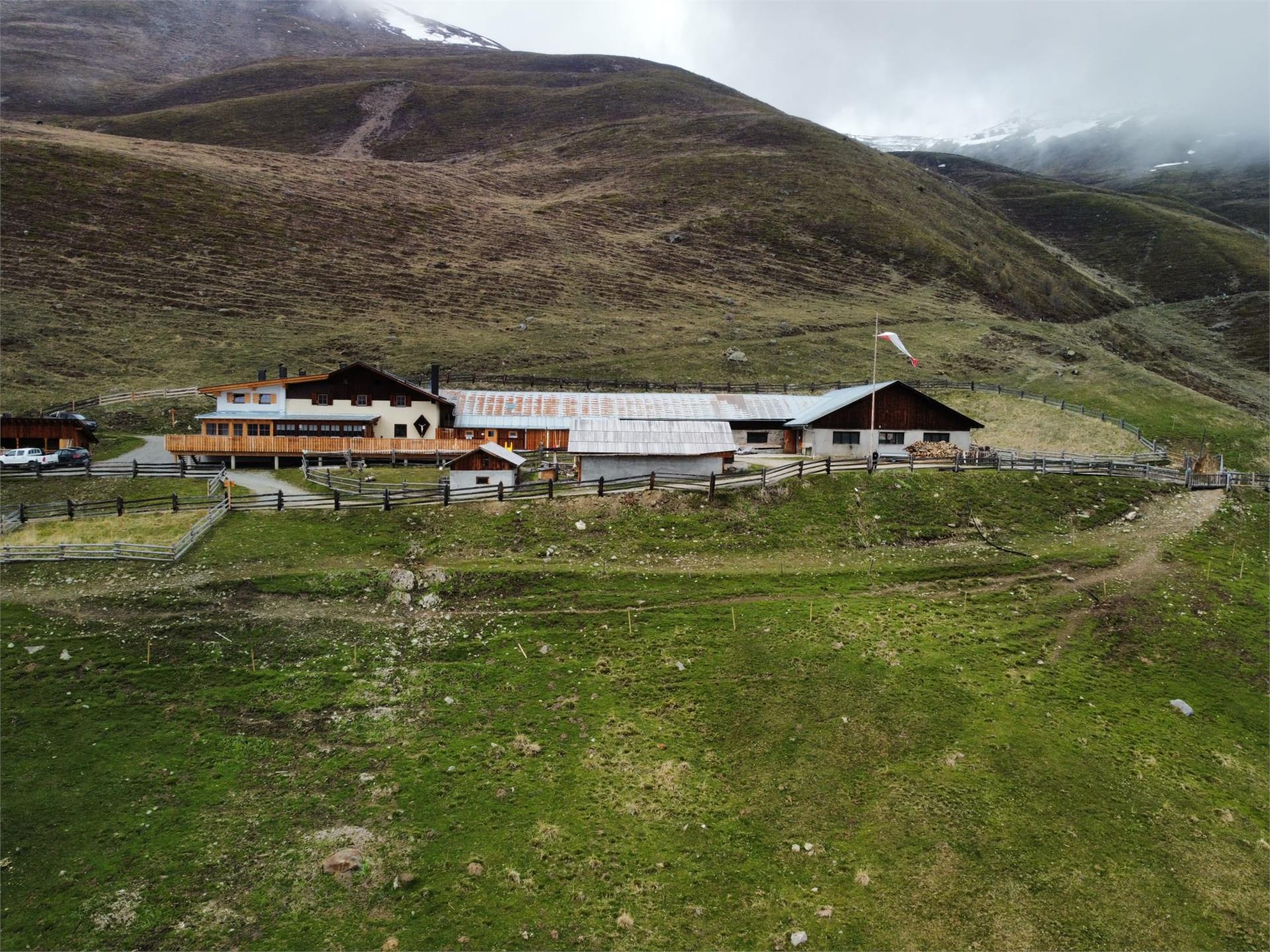 Planeiler Alm Alpine Pasture Mals/Malles 3 suedtirol.info