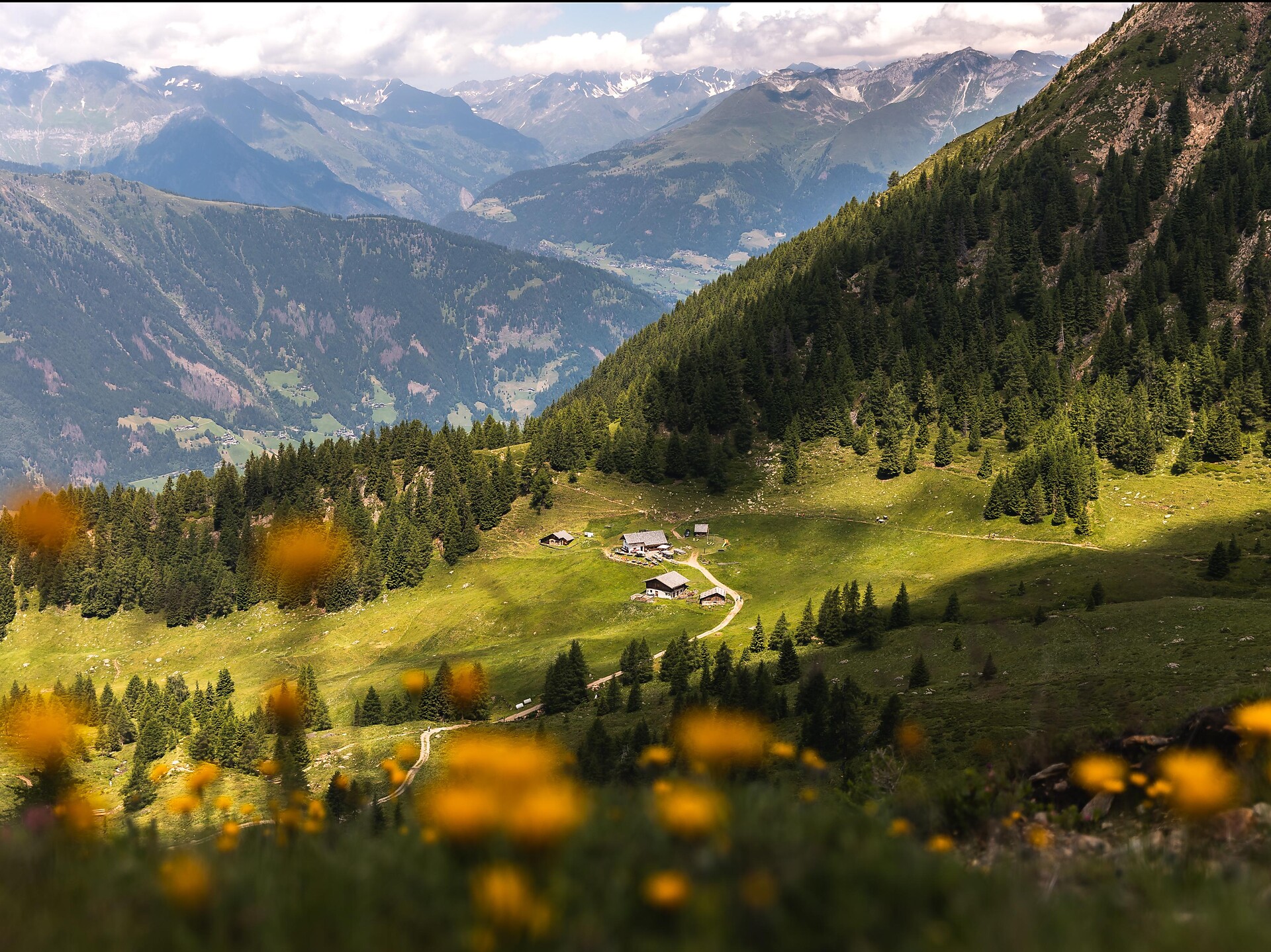 To the inns on the Tallner Alm