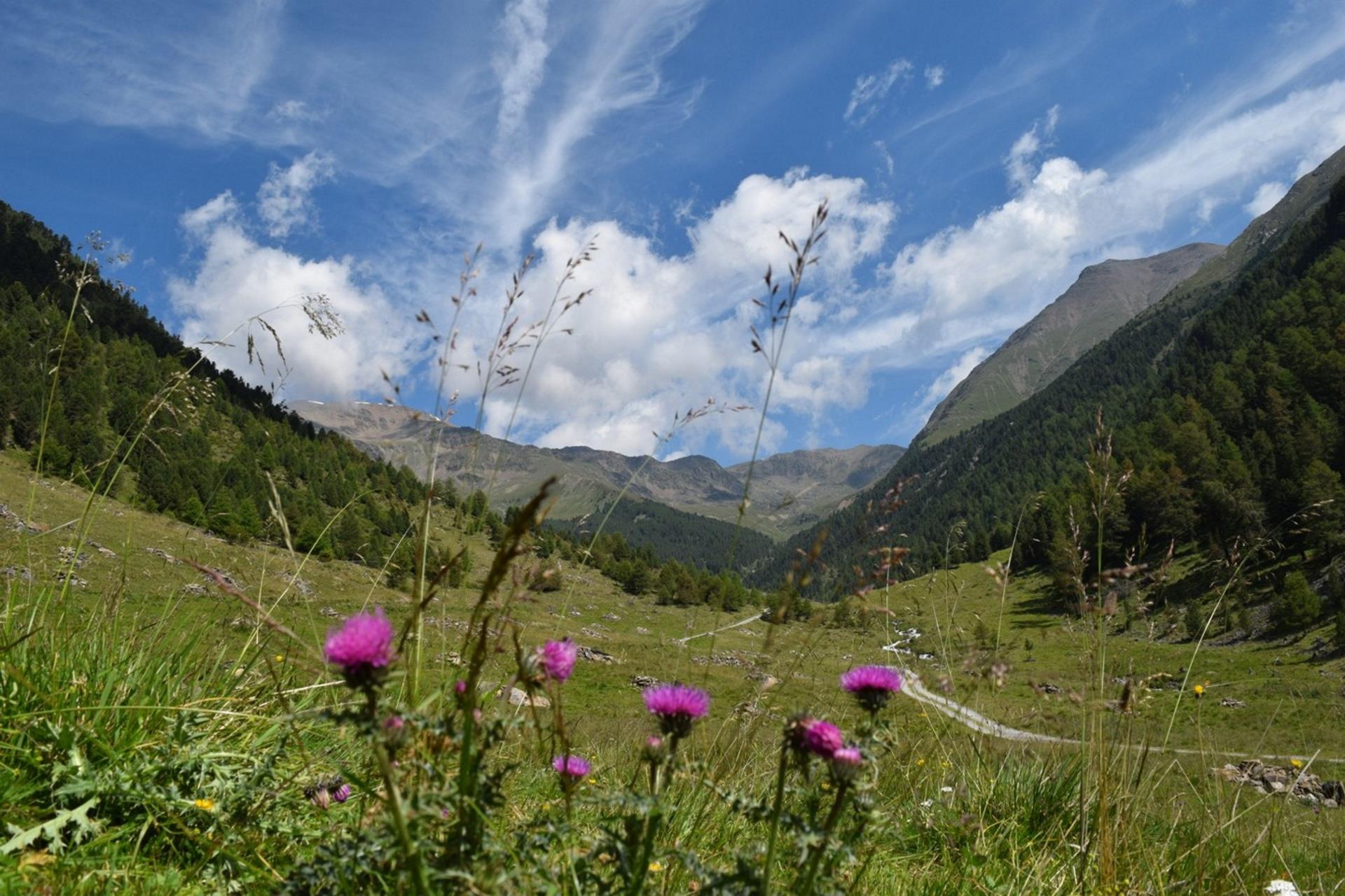 Al Lago di Corzes Silandro 3 suedtirol.info