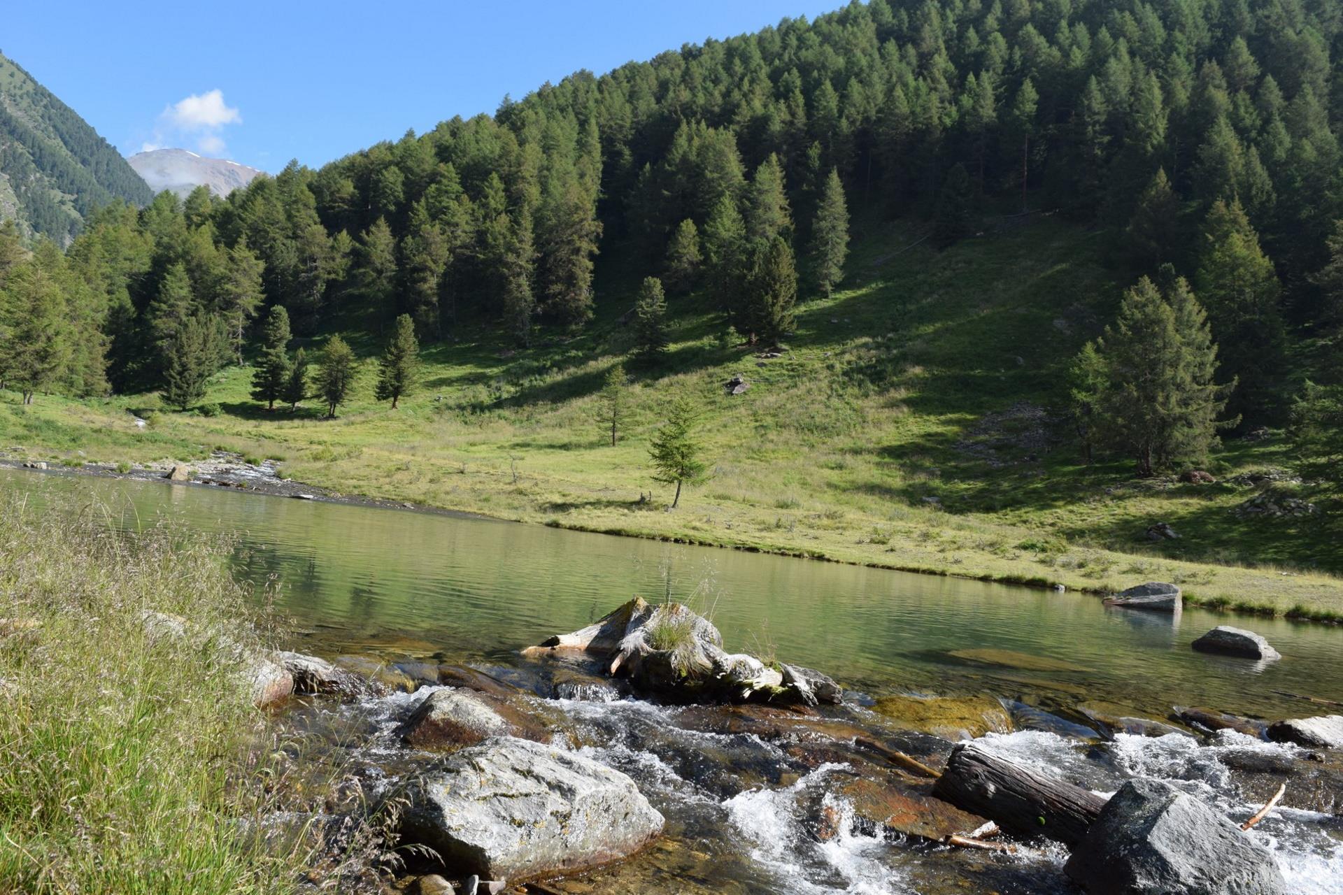 Al Lago di Corzes Silandro 1 suedtirol.info