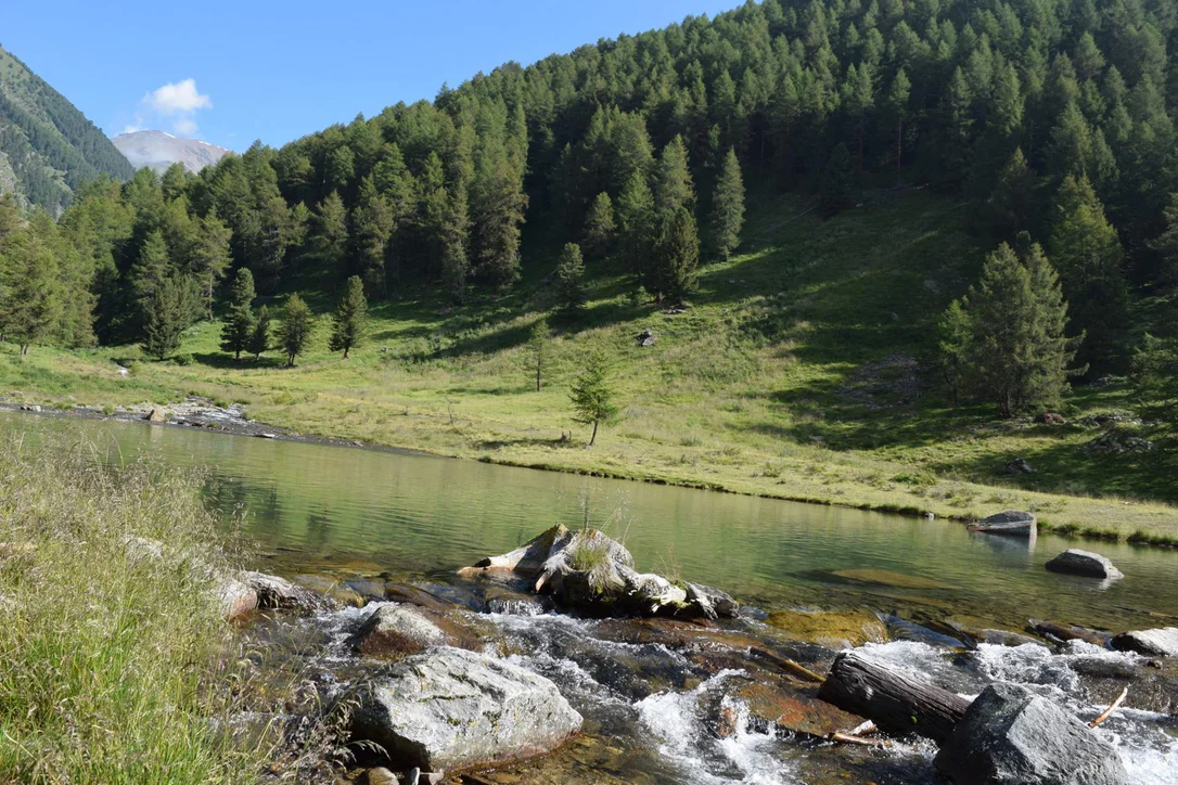 To the Lake Kortsch