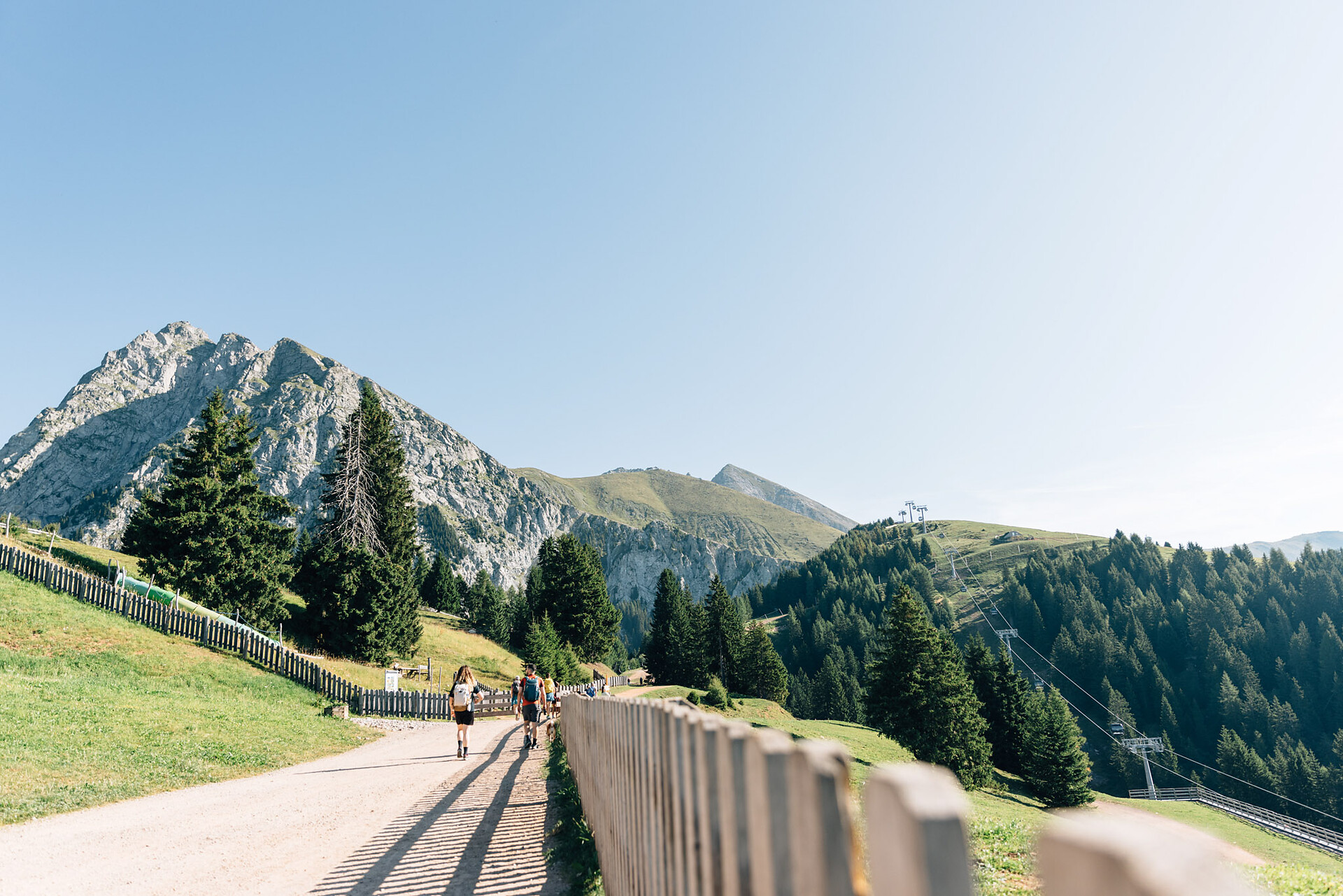 Salita - Da Falzeben al Piffinger Köpfl - Merano e dintorni - #1 - suedtirol.info