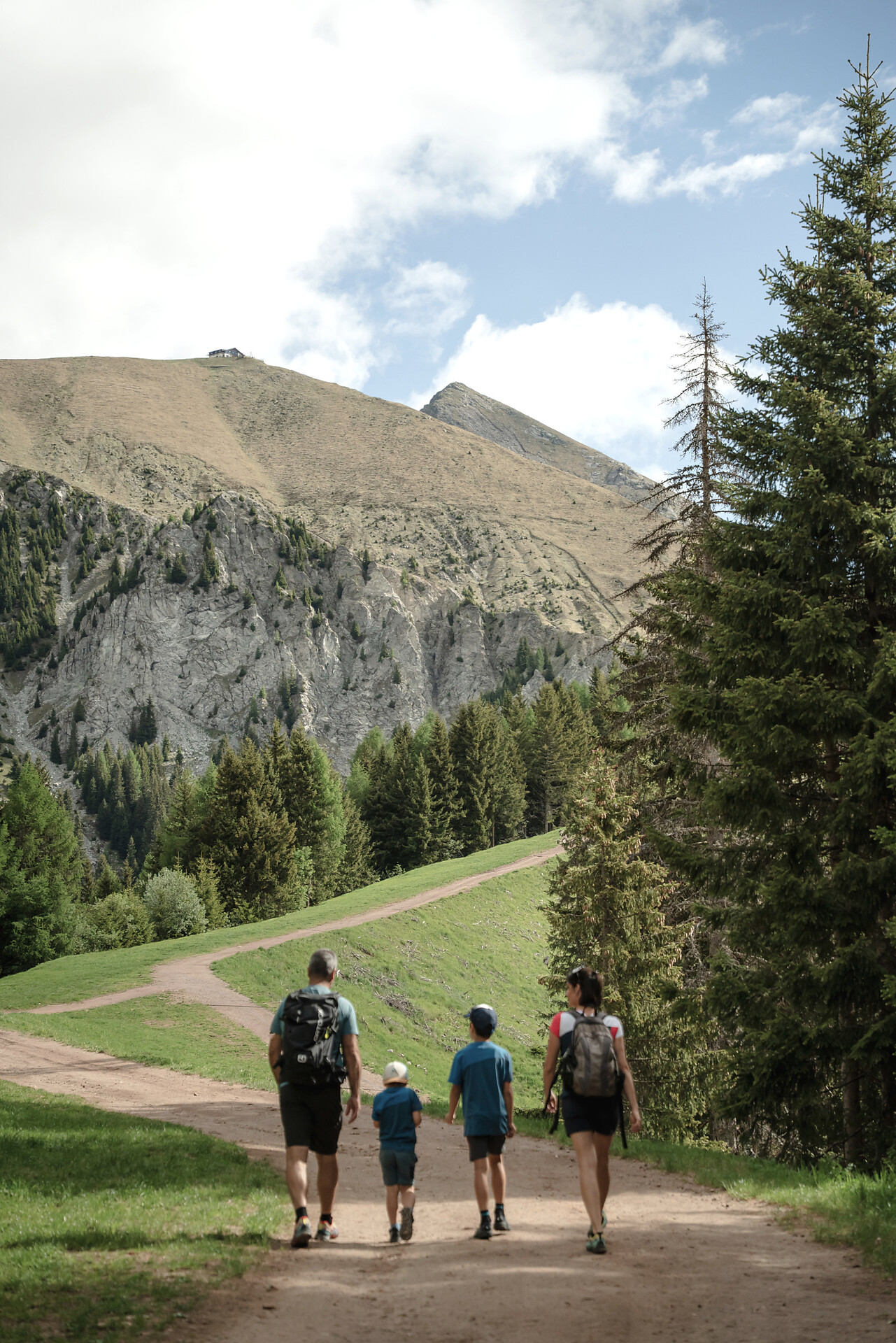 Salita - Da Falzeben al Piffinger Köpfl - Merano e dintorni - #3 - suedtirol.info