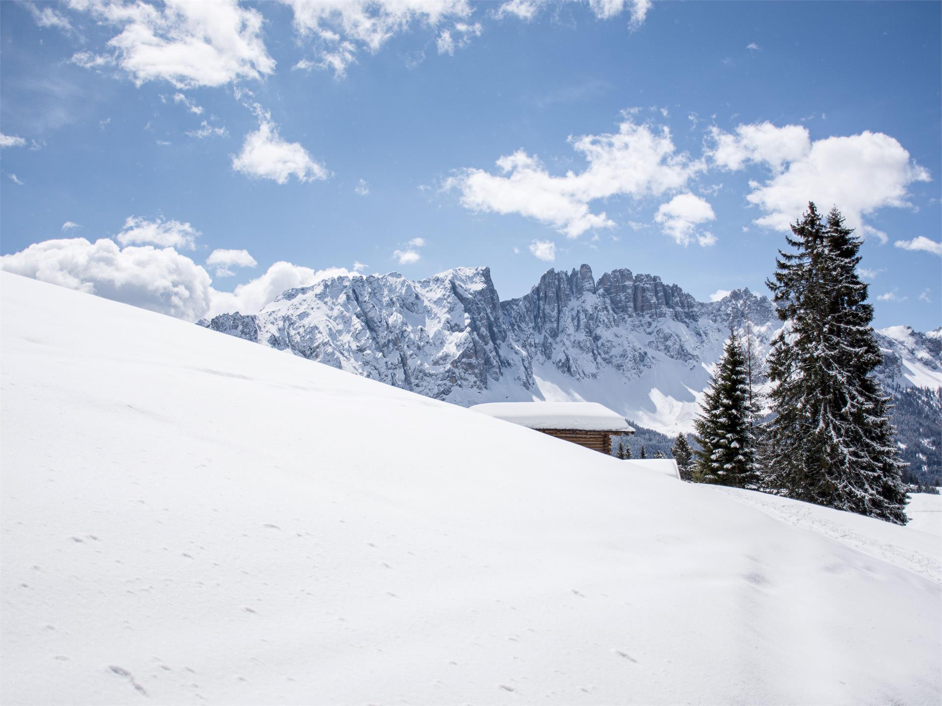 Winter hike from the Frommeralm hut to Ochsenhütte hut Welschnofen/Nova Levante 3 suedtirol.info