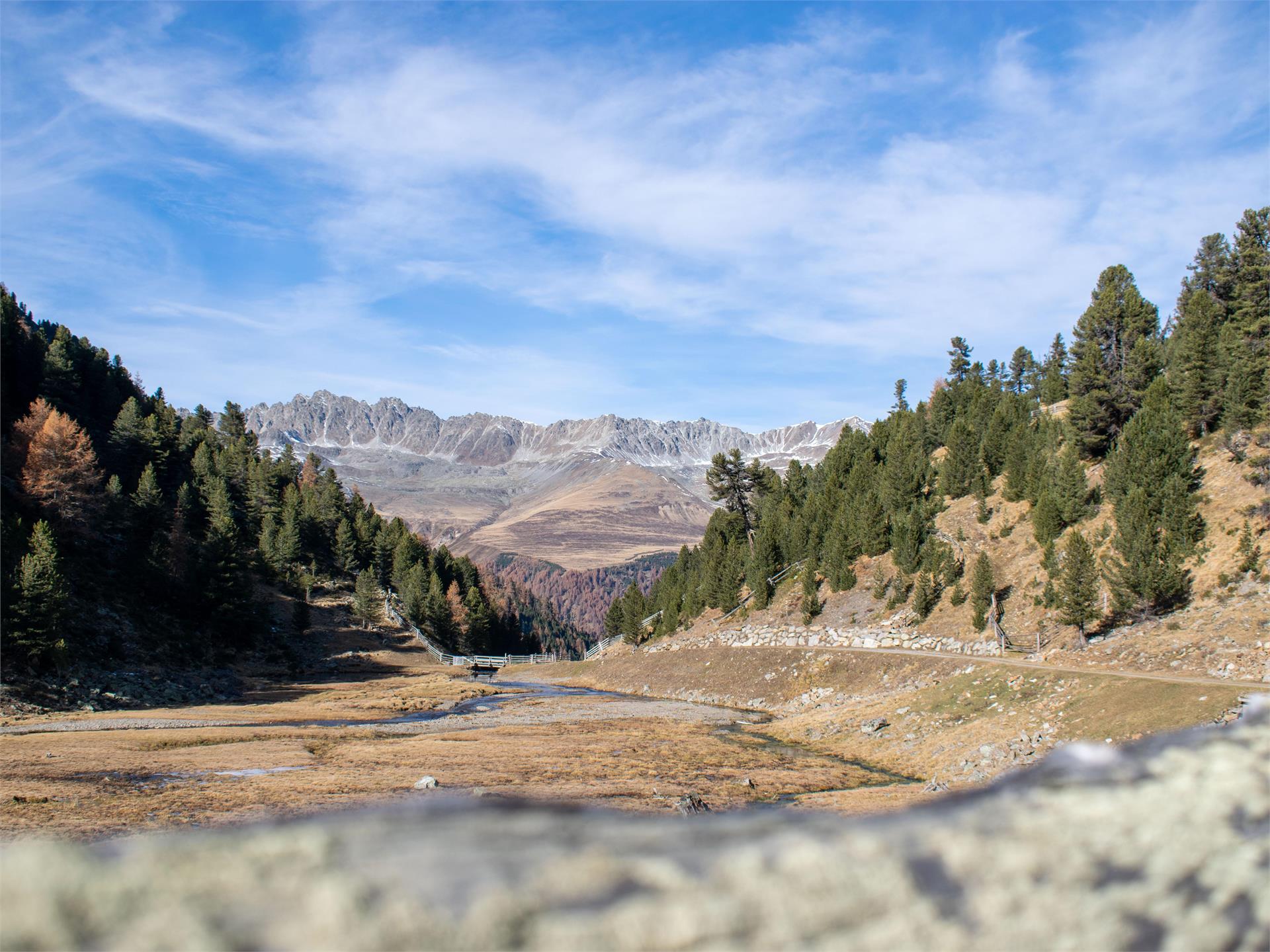 Zur Ochsenbergalm  1 suedtirol.info
