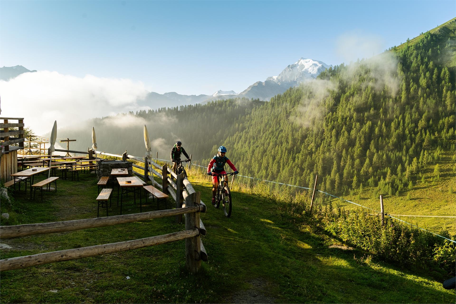 Alla Malga Stelvio di Sopra Stelvio 1 suedtirol.info
