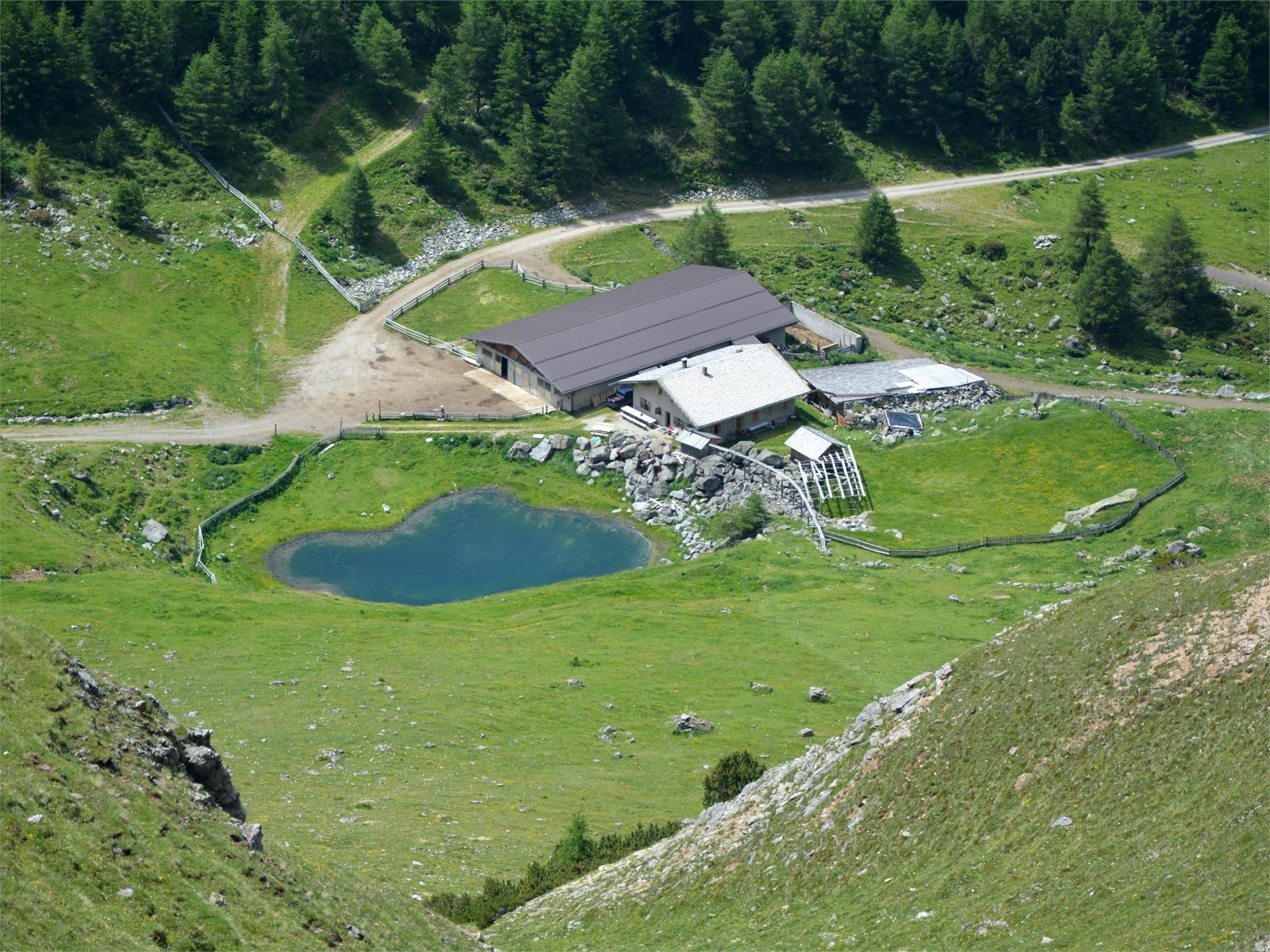 To the Grauner Alm alpine pasture Graun im Vinschgau/Curon Venosta 1 suedtirol.info