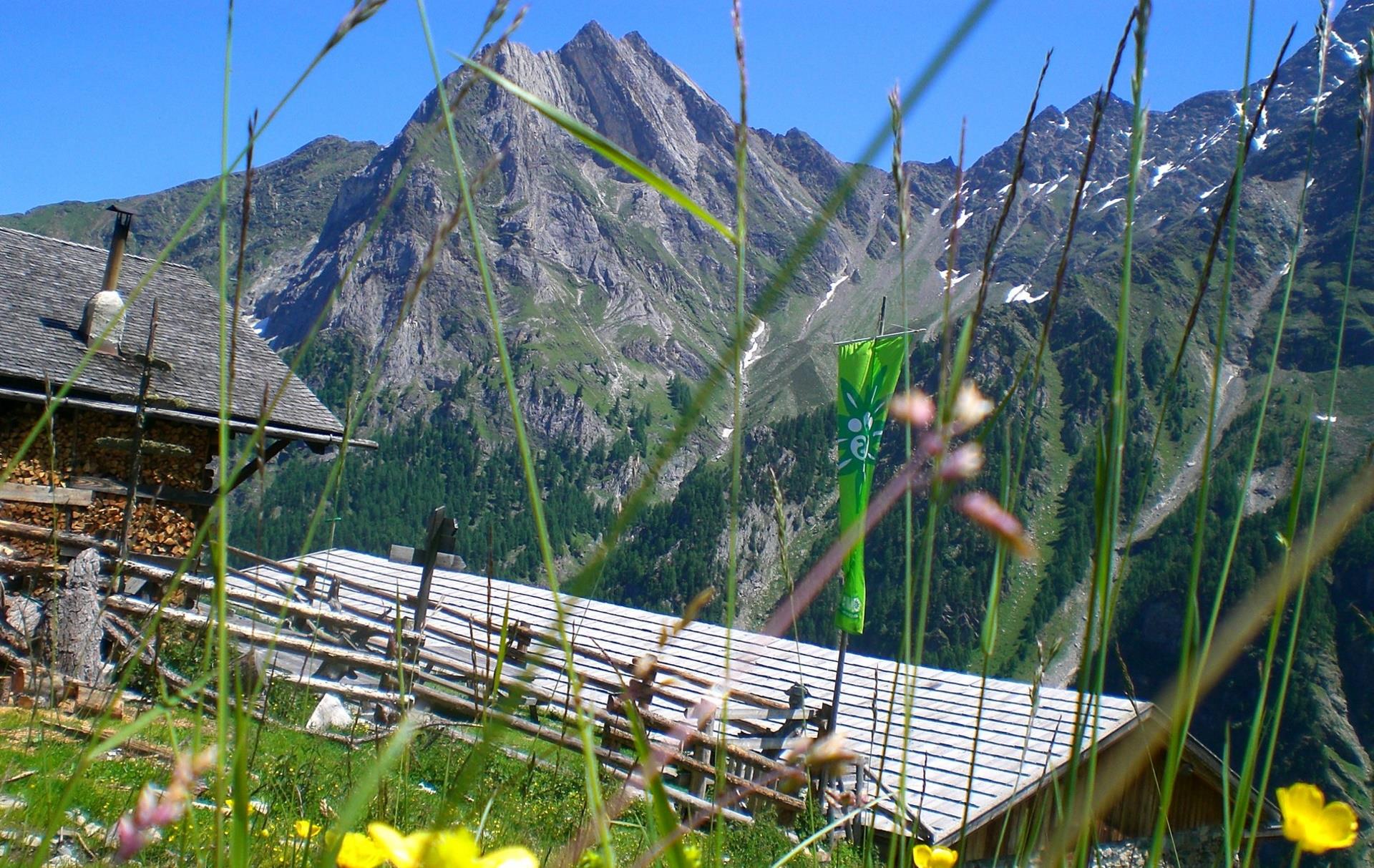 Alle malghe nella Val di Lasa Lasa 3 suedtirol.info
