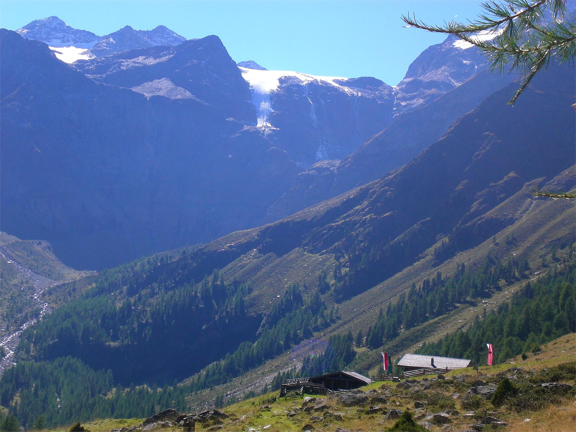 Alle malghe nella Val di Lasa Lasa 1 suedtirol.info