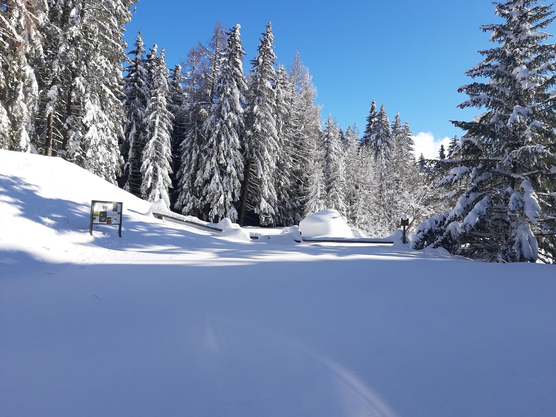 Fauler See