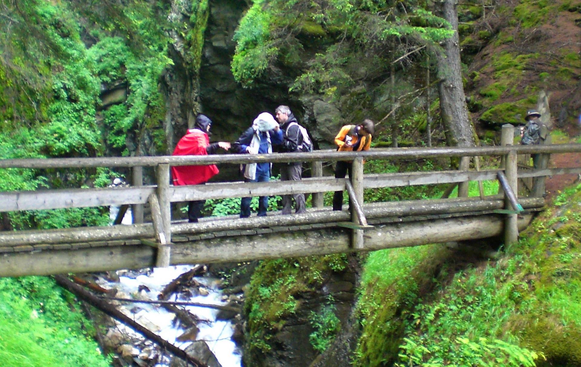 Zur Schlucht "Gurgl" Laas 4 suedtirol.info