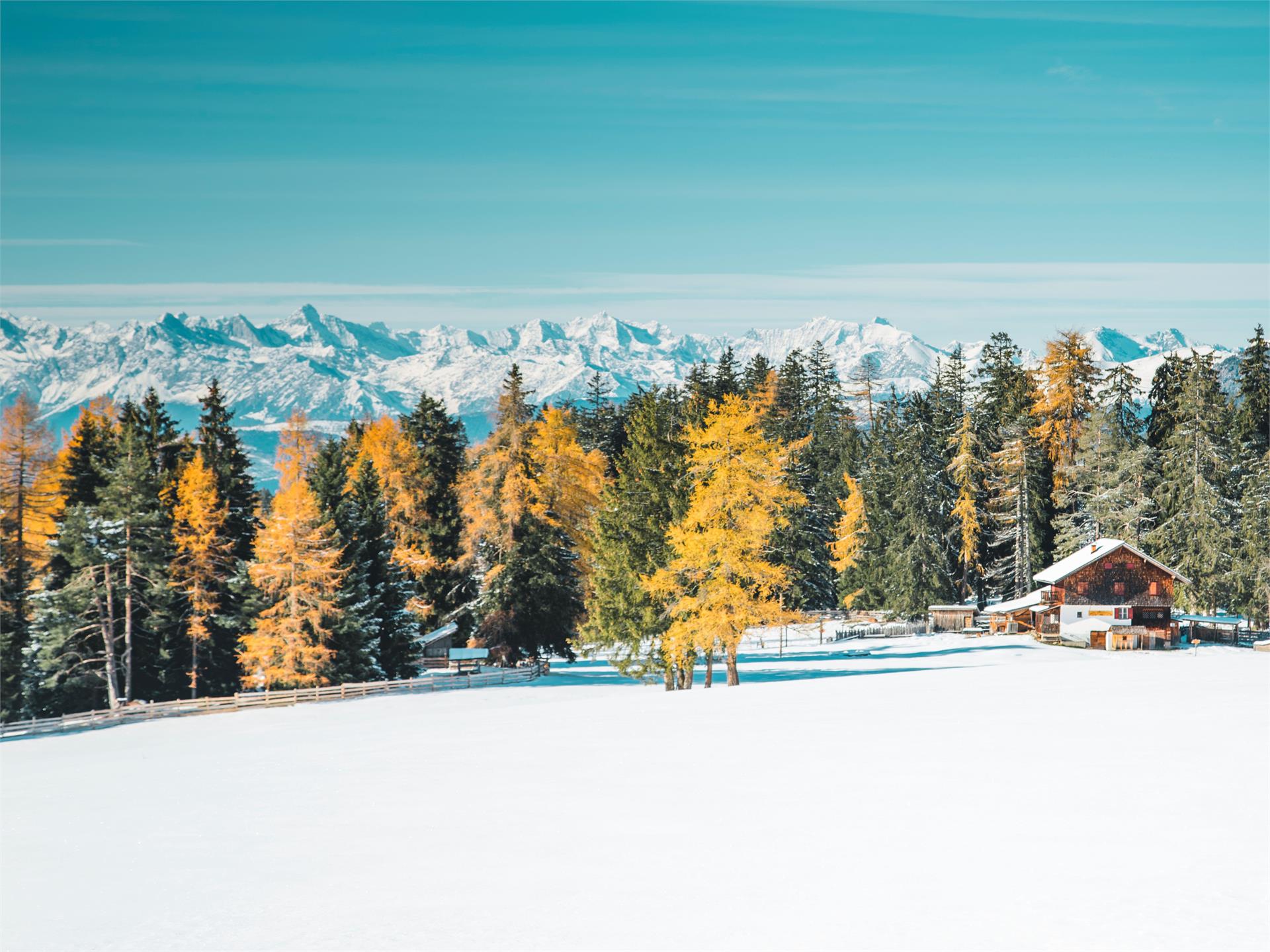 Winterwanderung vom Karer See zur Frommeralm Welschnofen 3 suedtirol.info