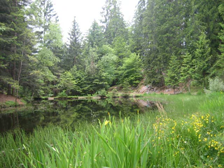 Zum Sulfner Weiher - Hafling - #3 - suedtirol.info