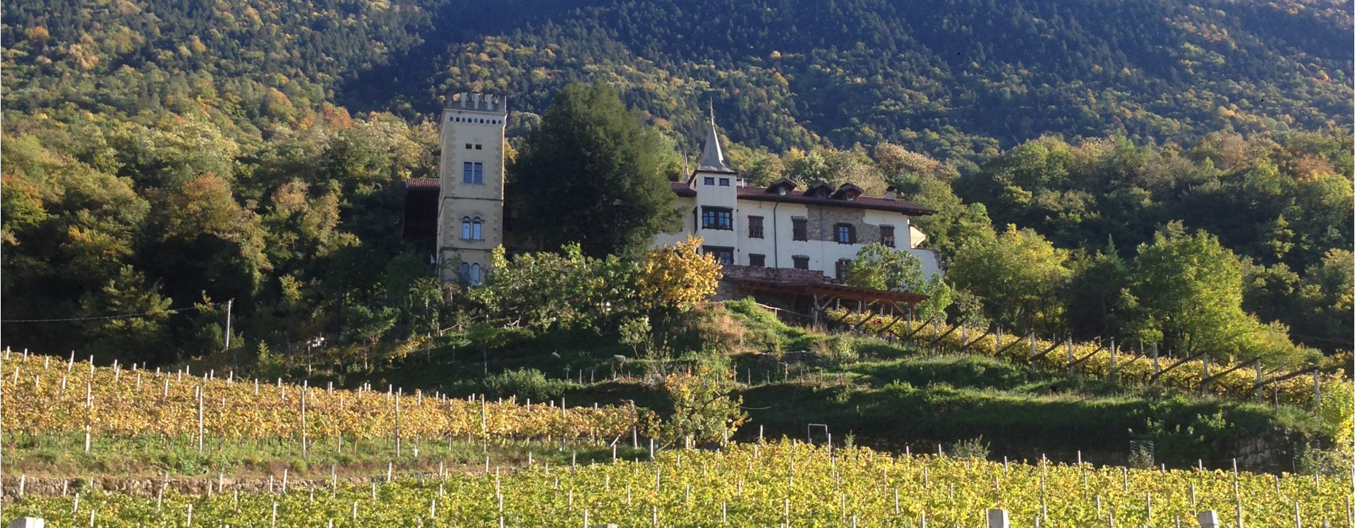 Tenuta Ansitz Dornach Salorno 1 suedtirol.info