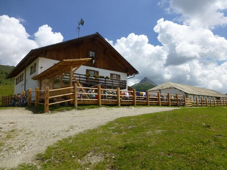 Alpe Nemes Hütte Sexten/Sesto 3 suedtirol.info