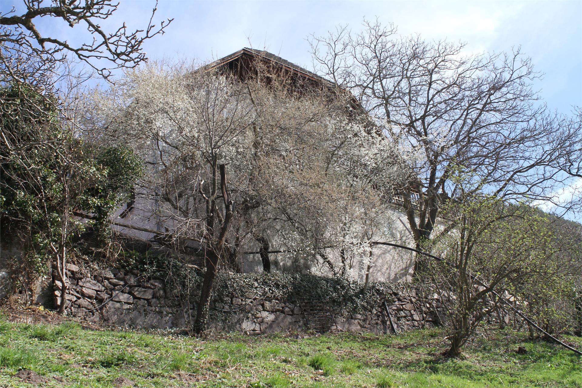 Aspmayrhof Renon 9 suedtirol.info