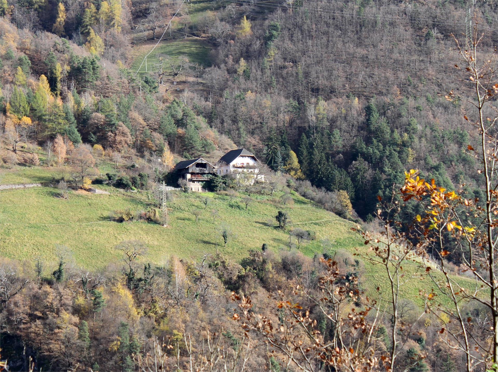 Aspmayrhof Renon 1 suedtirol.info