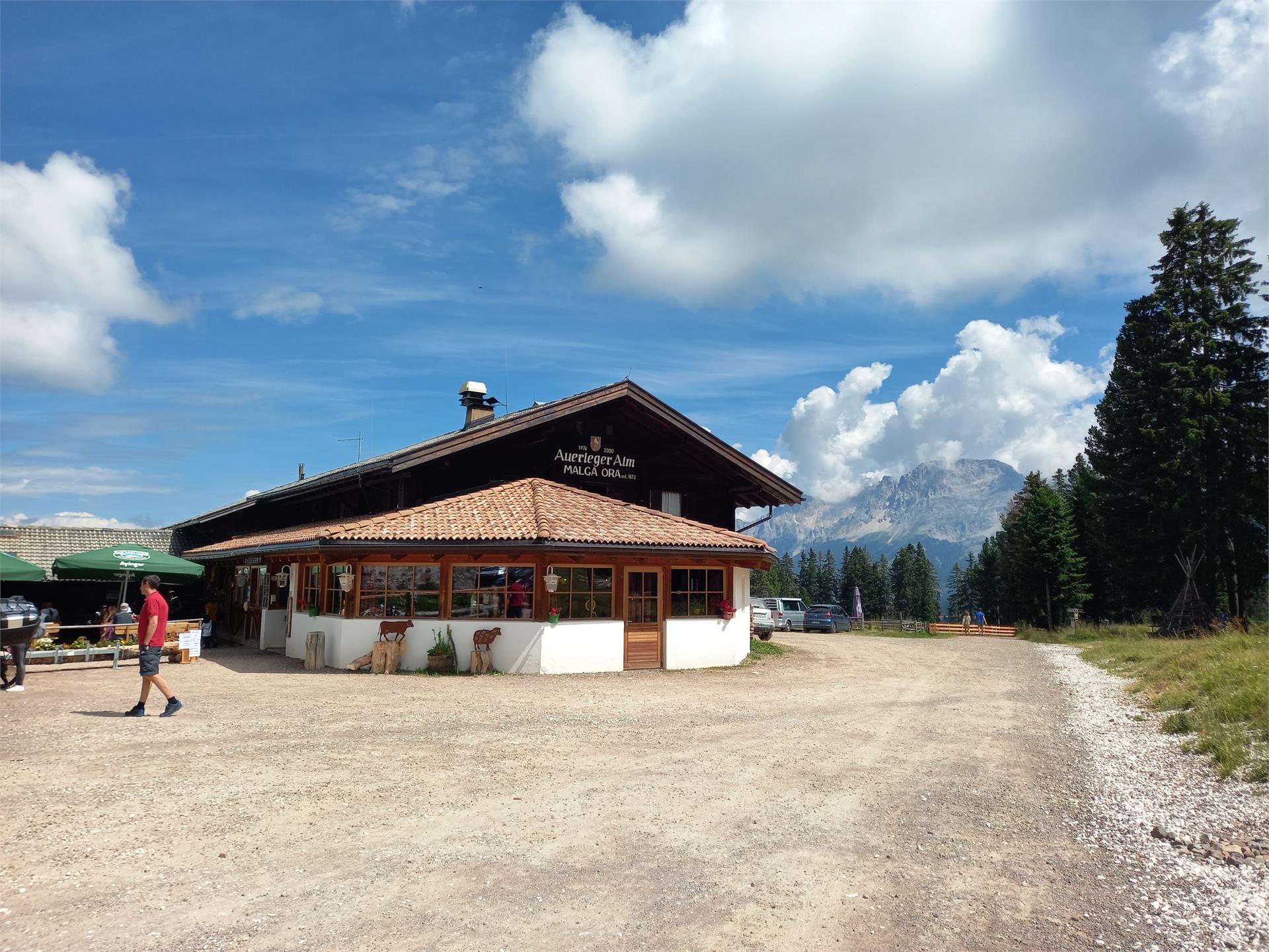 Auerleger Alm Aldein/Aldino 1 suedtirol.info