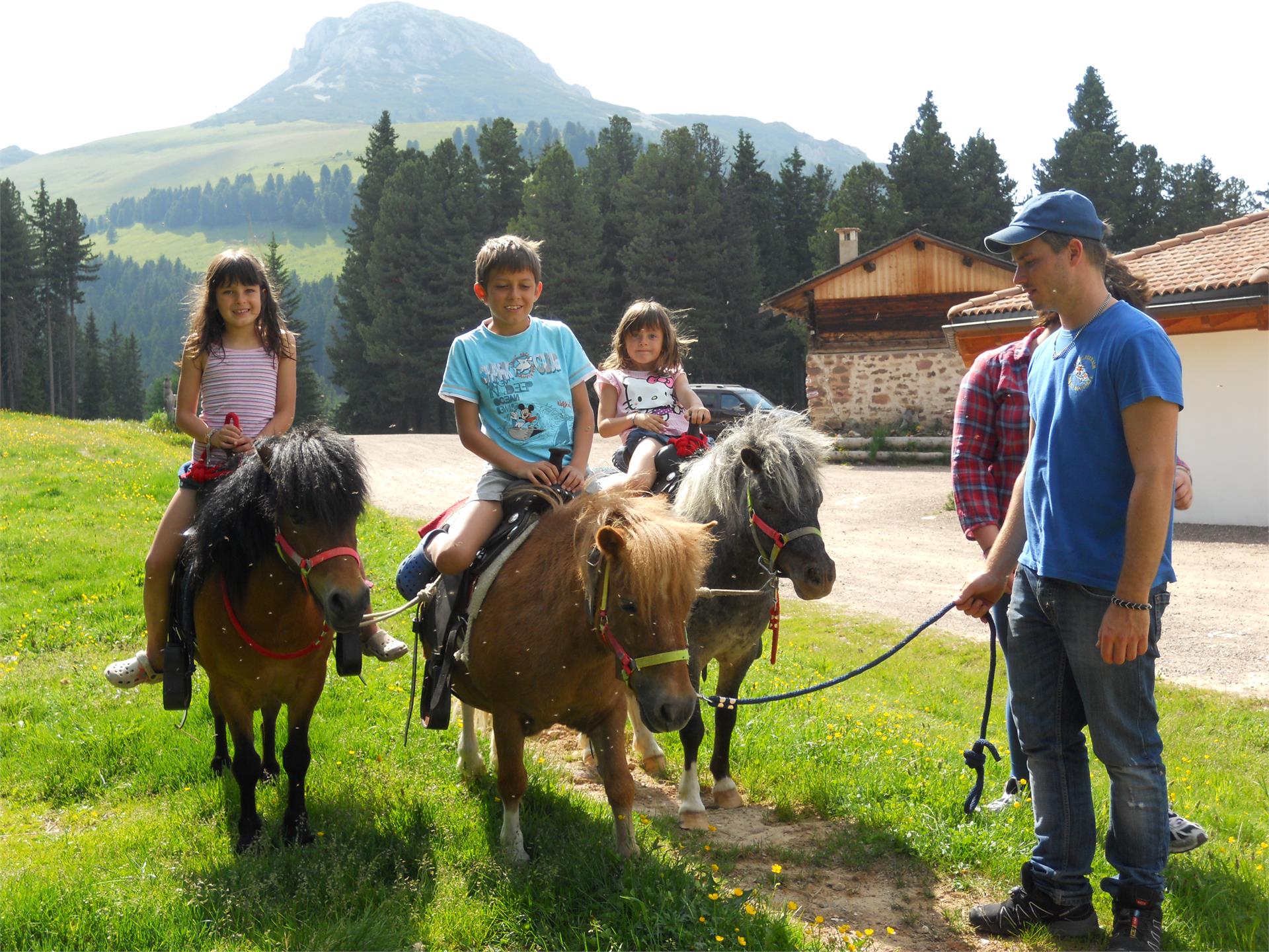Auerleger Alm Aldein/Aldino 2 suedtirol.info