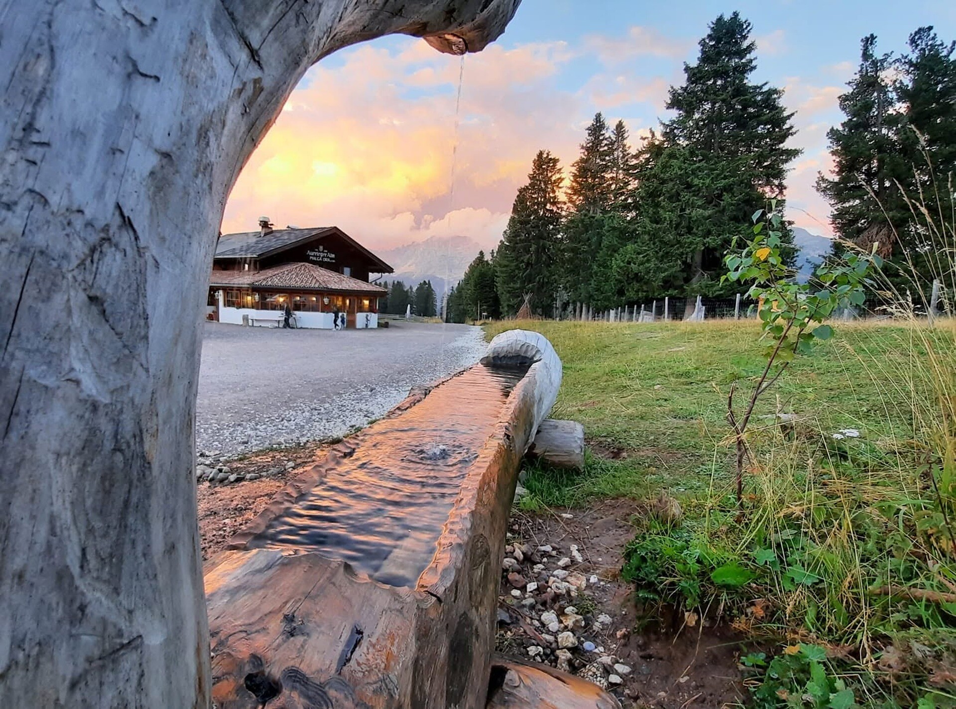 Auerleger Alm -  - #1 - suedtirol.info