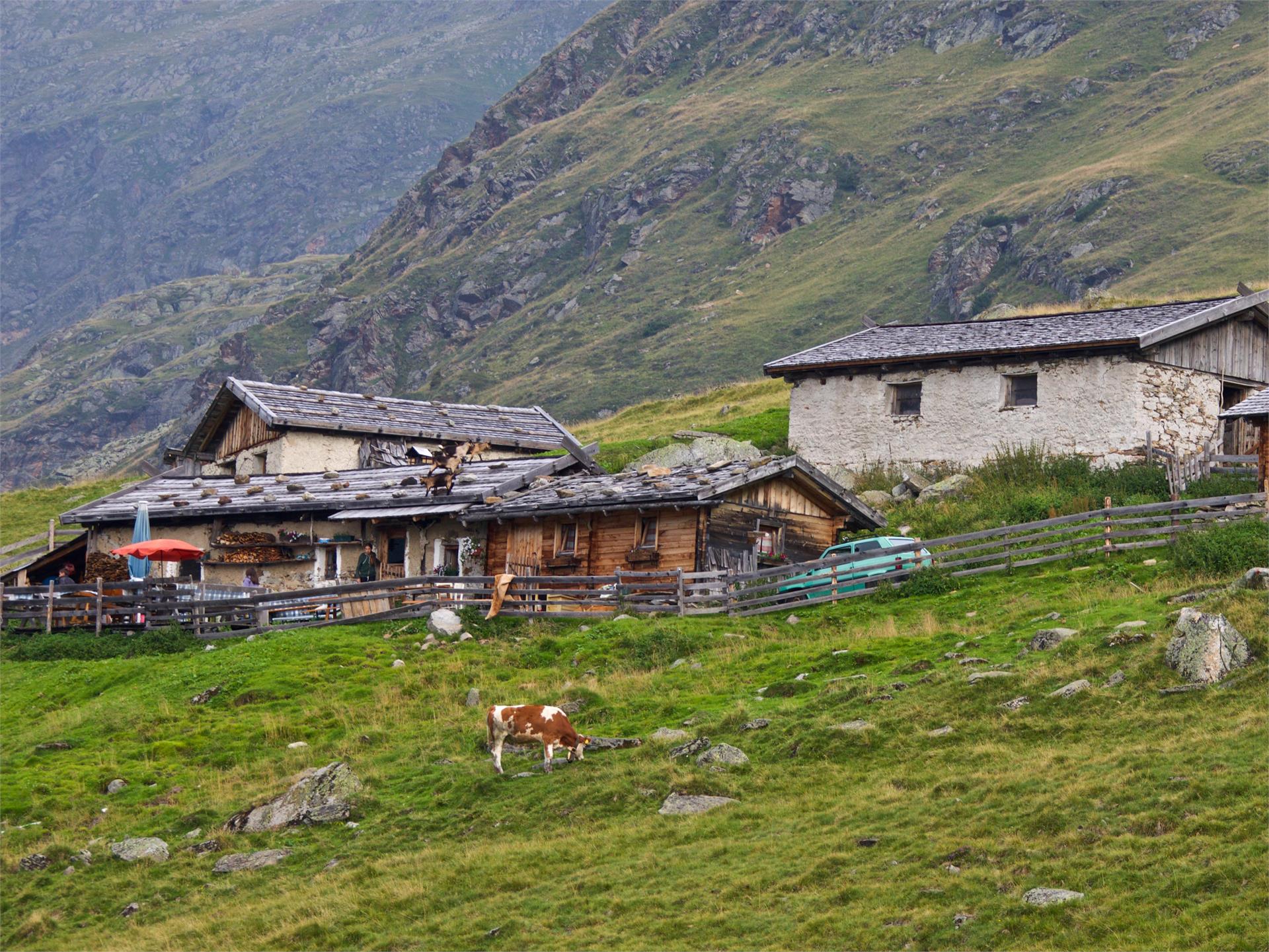Aglsalm Ratschings 1 suedtirol.info