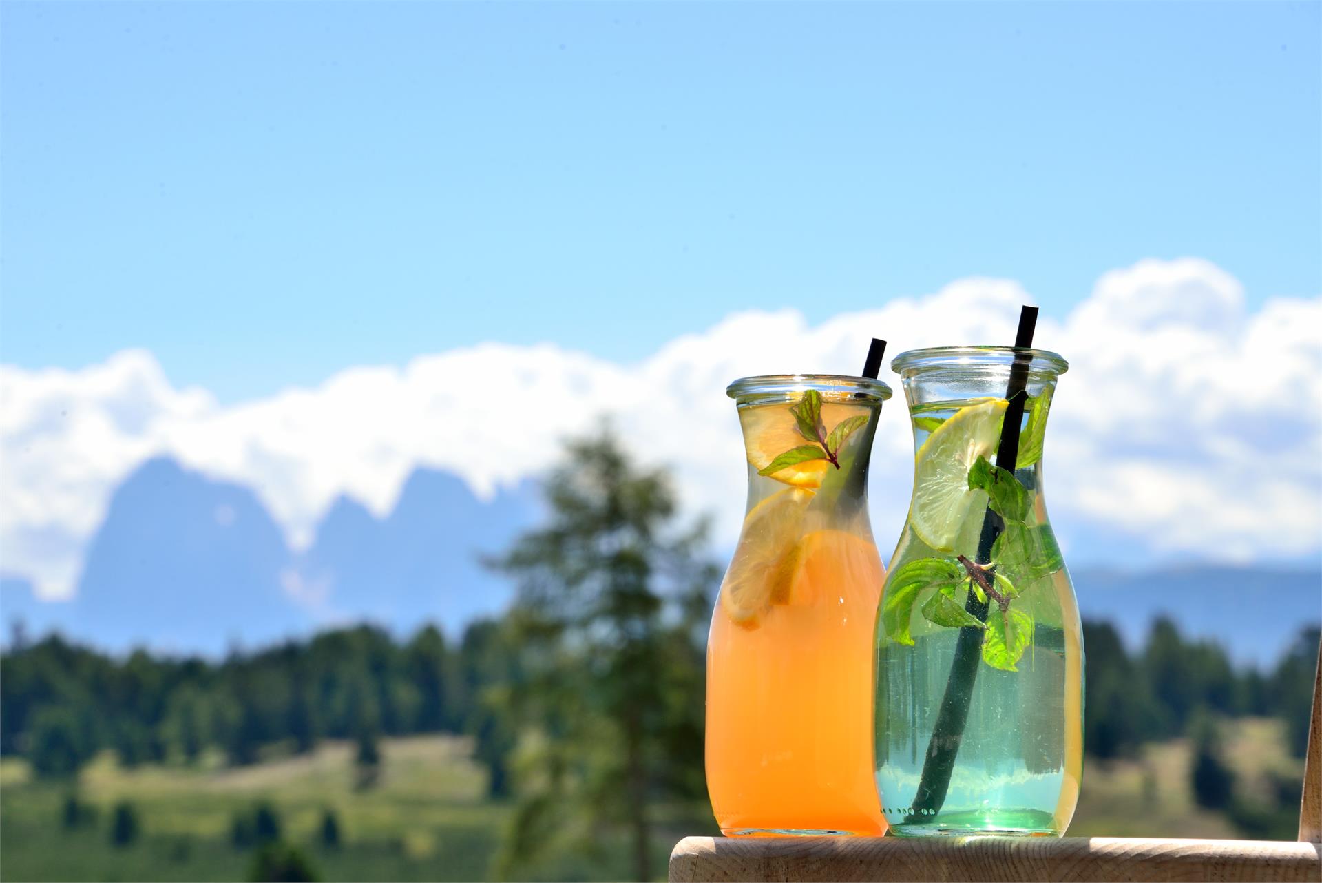 Almgasthof am Rinderplatz Villanders 5 suedtirol.info