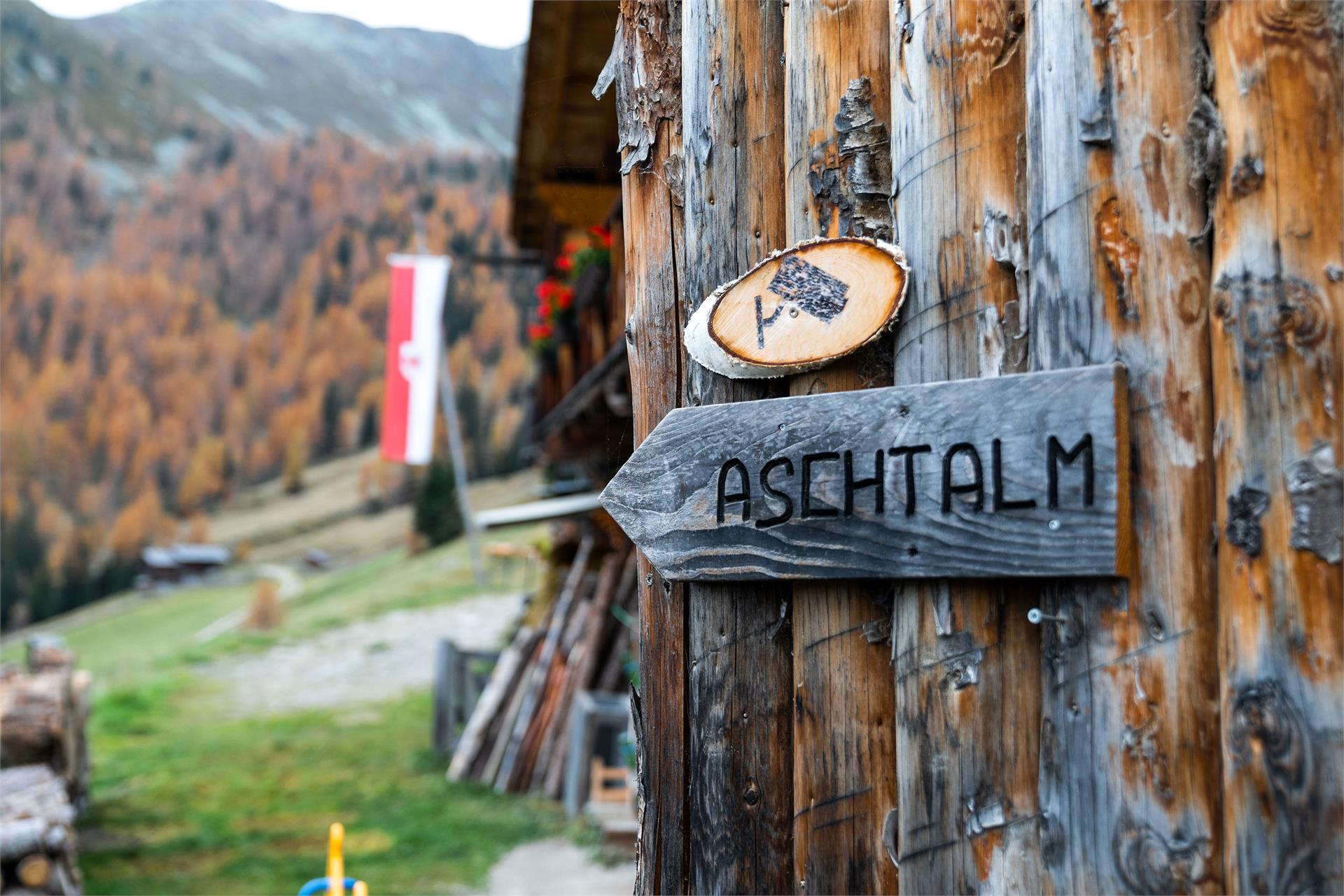 Malga Aschtalm 1950 m Gsies/Valle di Casies 13 suedtirol.info