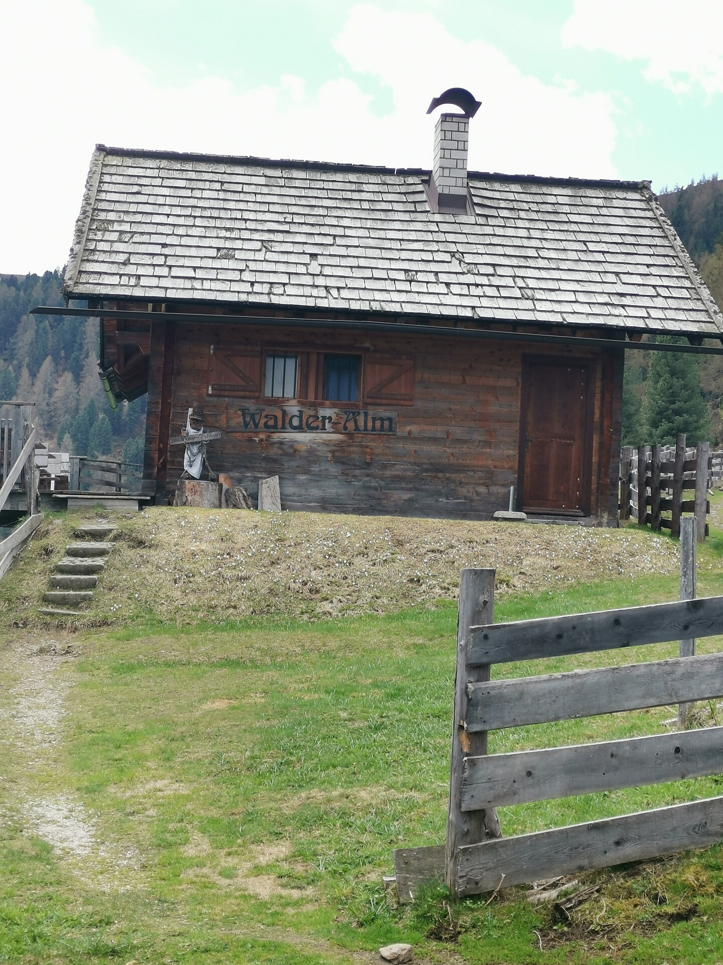 Almschank Walderalm - Dolomites Region Kronplatz/Plan de Corones - #1 - suedtirol.info
